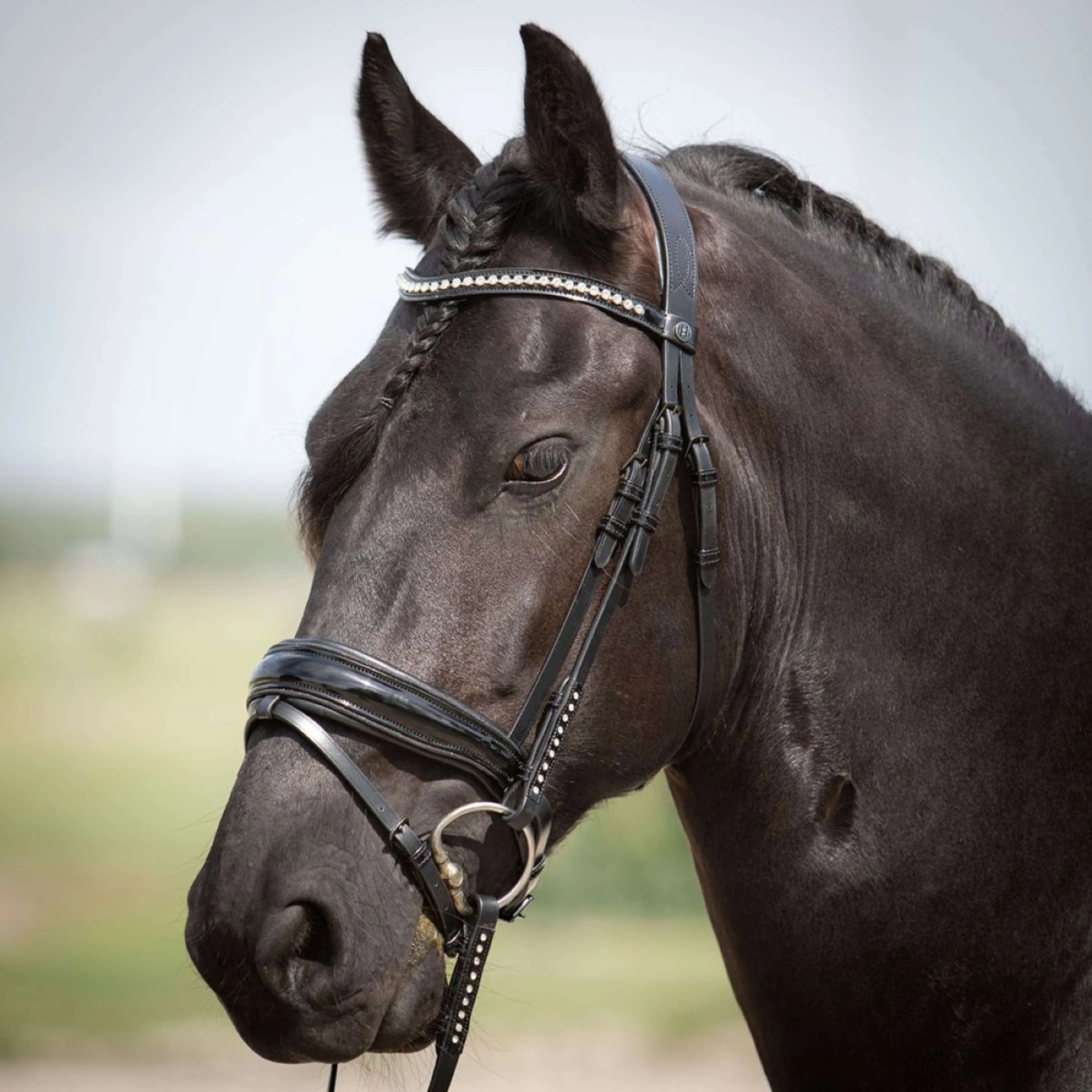 Harry's Horse Testiera Diamond Lacque Nero - Image 3