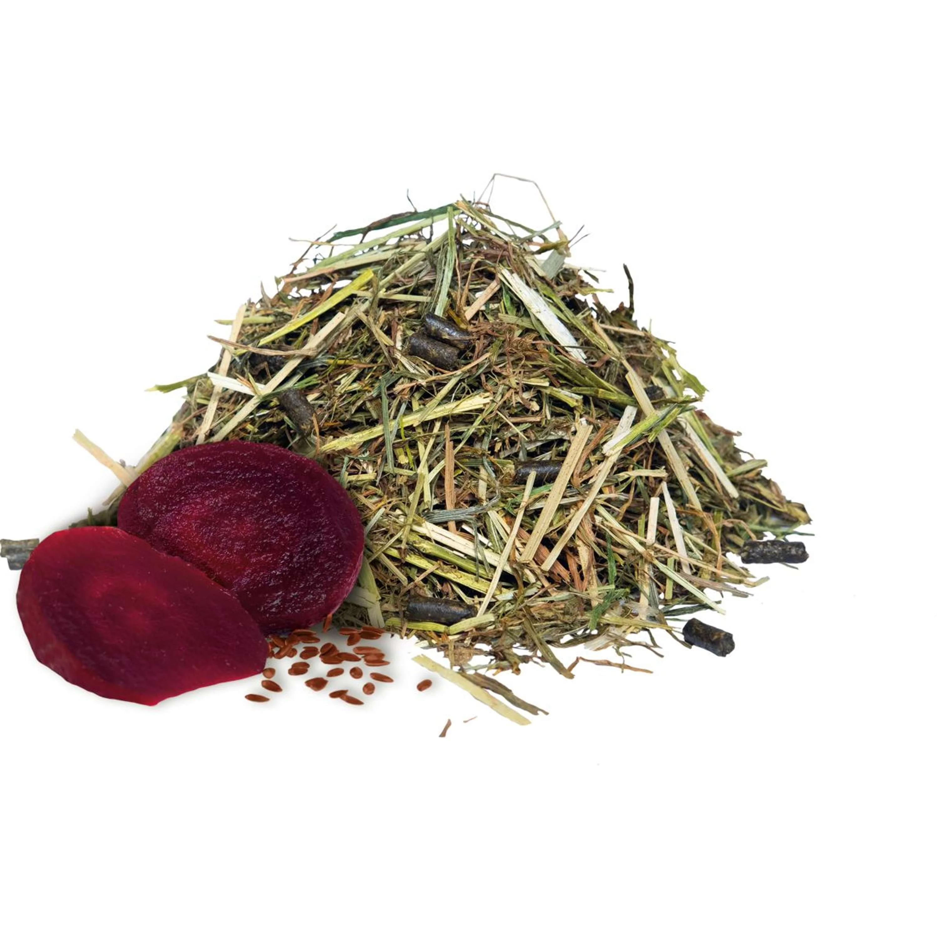 Hartog Senior - Image 2