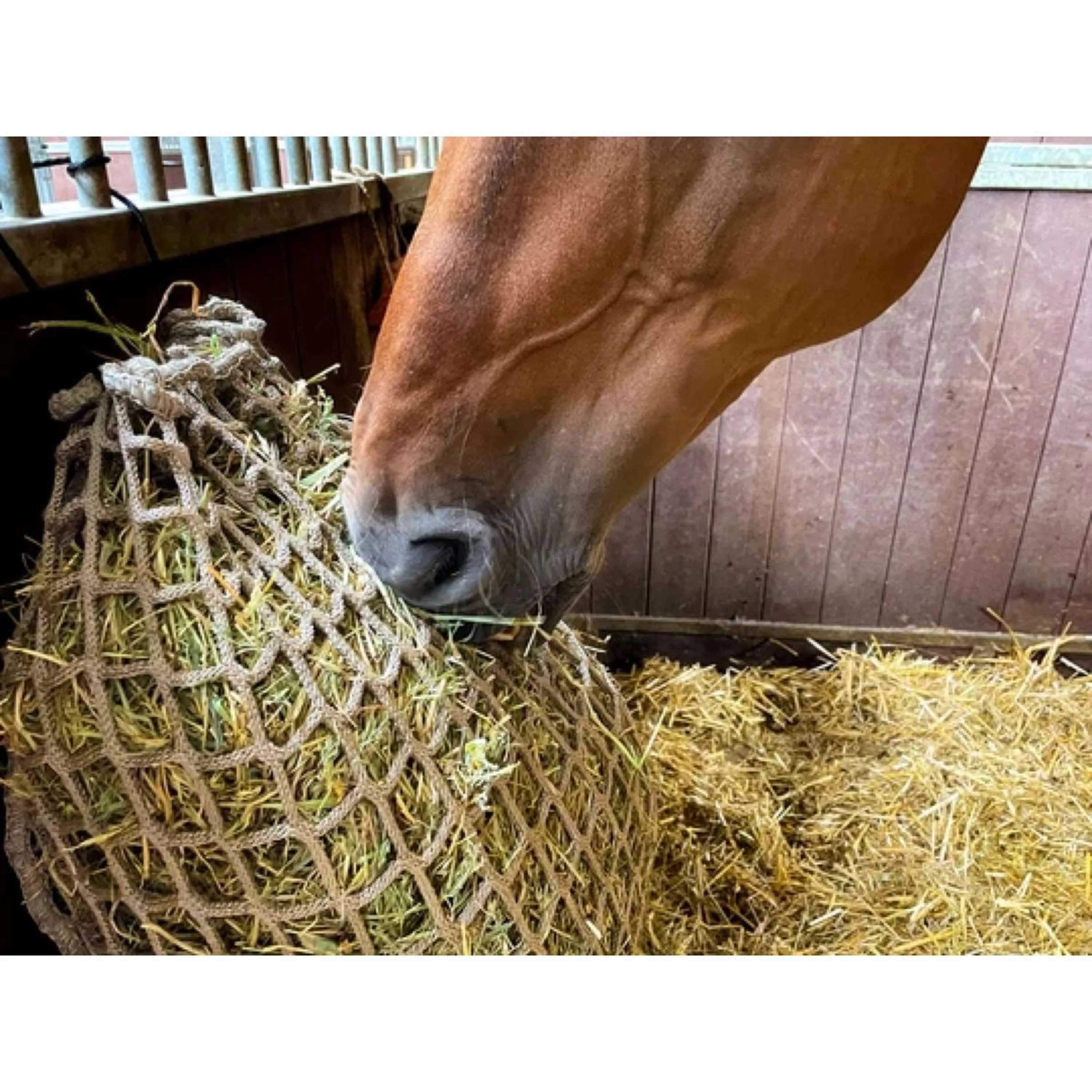 Hay Slow Feeder Rete per alimentazione lenta del fieno - Image 8
