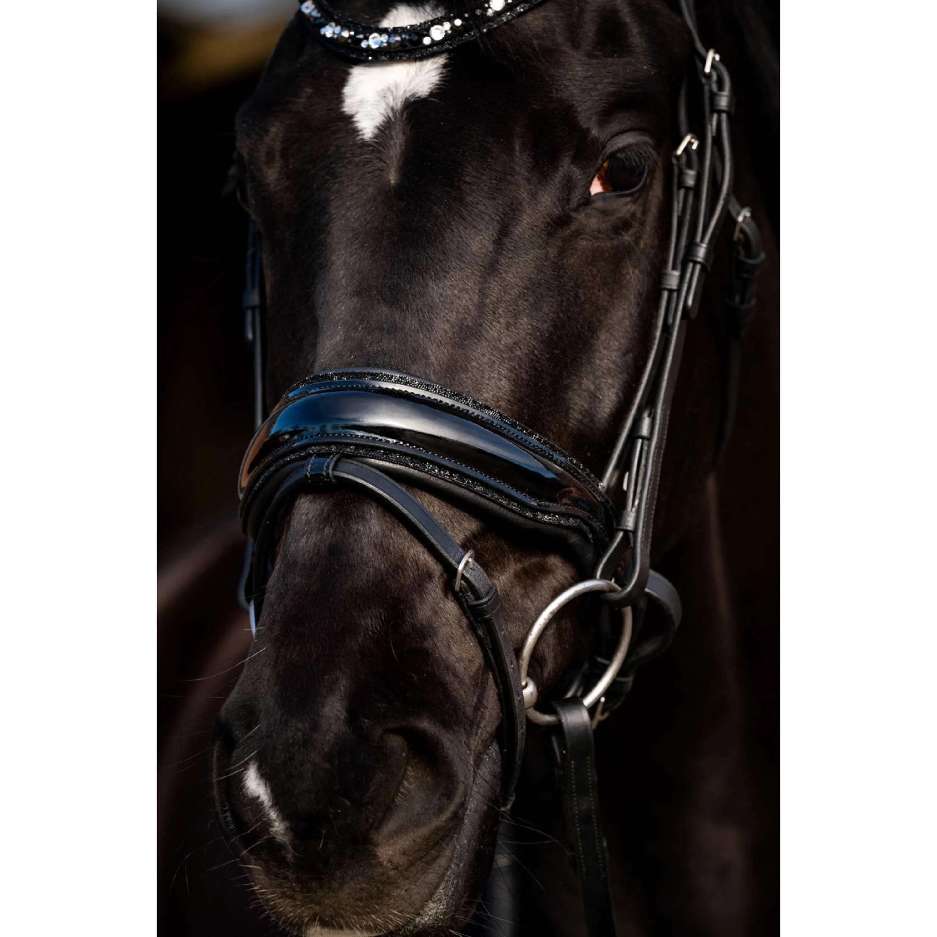 HB Briglia Dark Eagle Nero - Image 3
