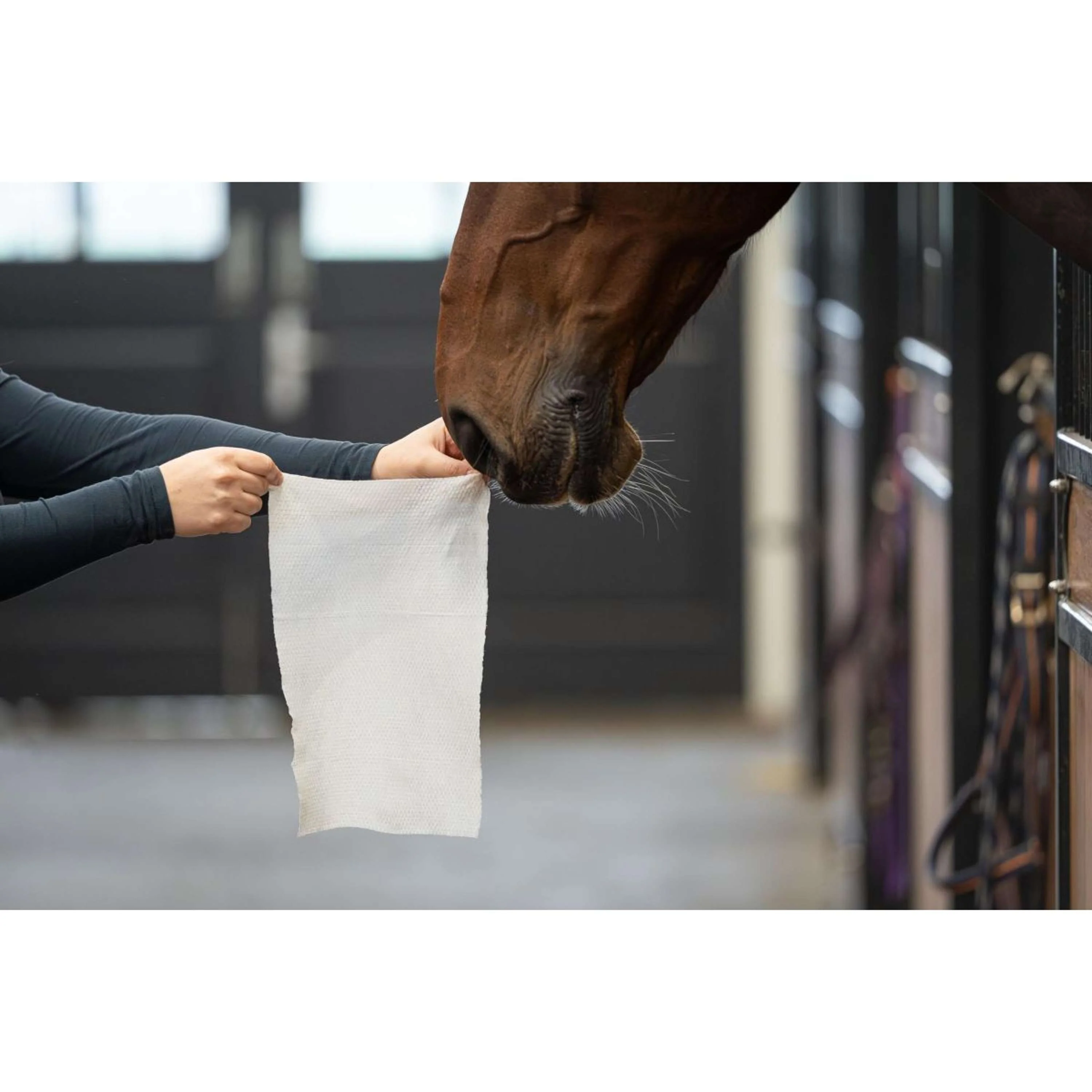 HB HorseWipes Natural Clean Bianco - Image 5