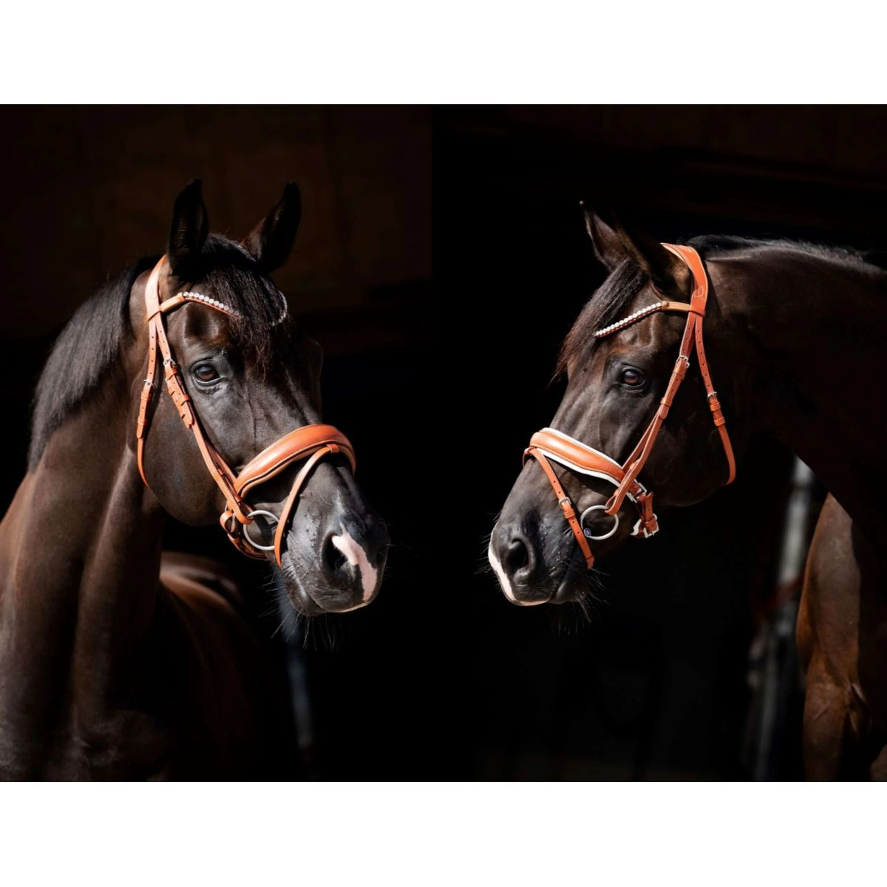 HB Briglia Chesnuth Cognac - Image 3