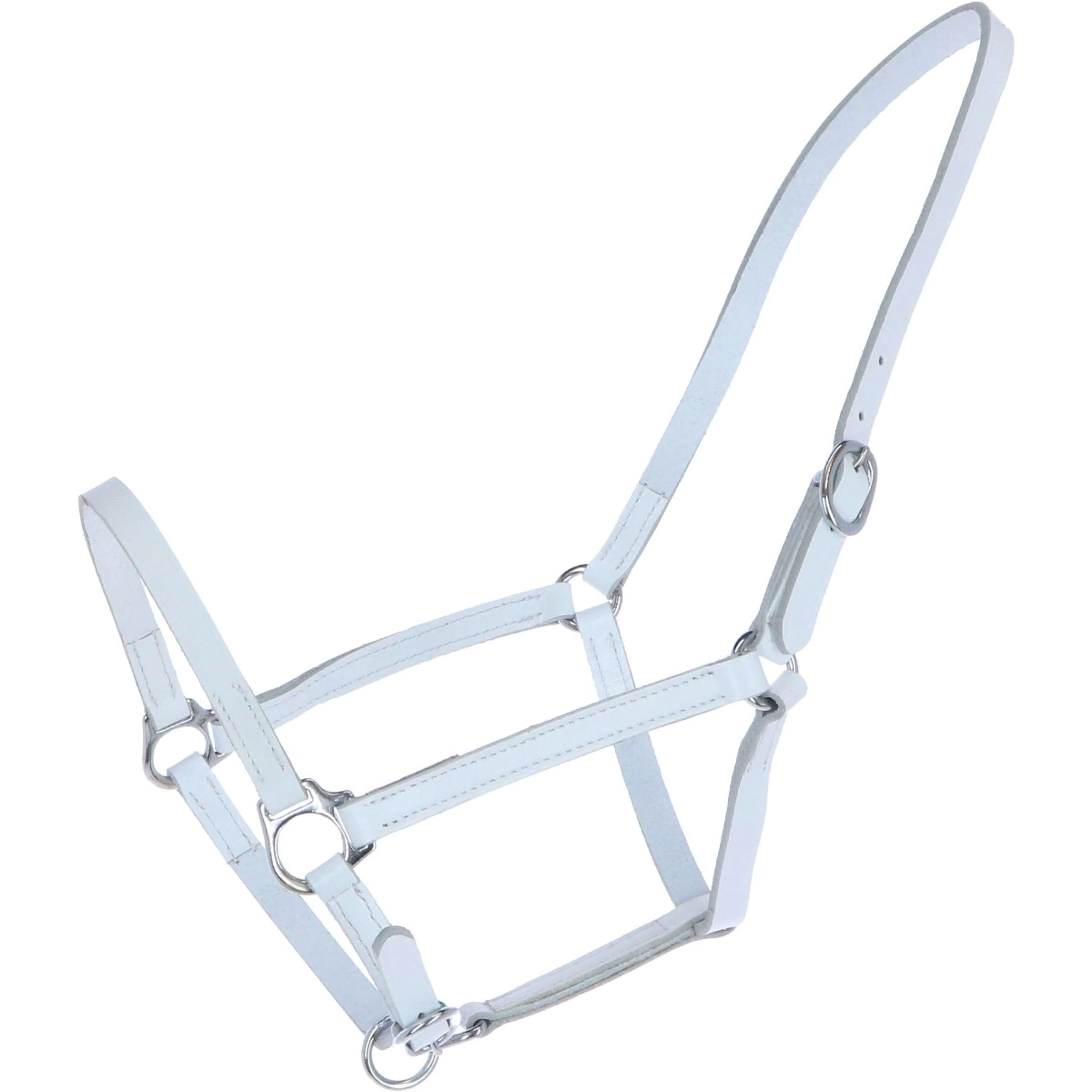 HB Cavezza Big Foal Pelle Bianco