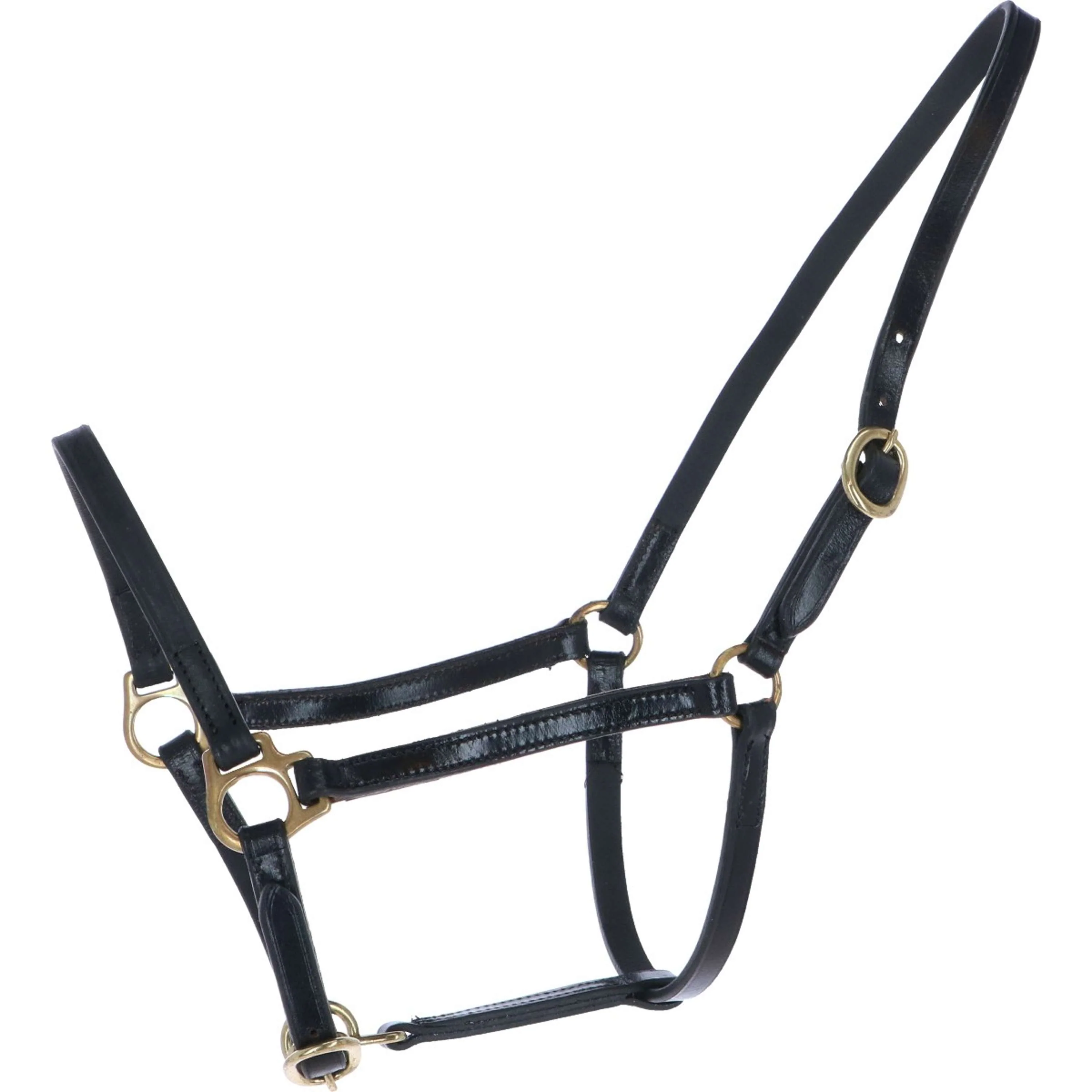 HB Cavezza Big Foal Pelle Nero