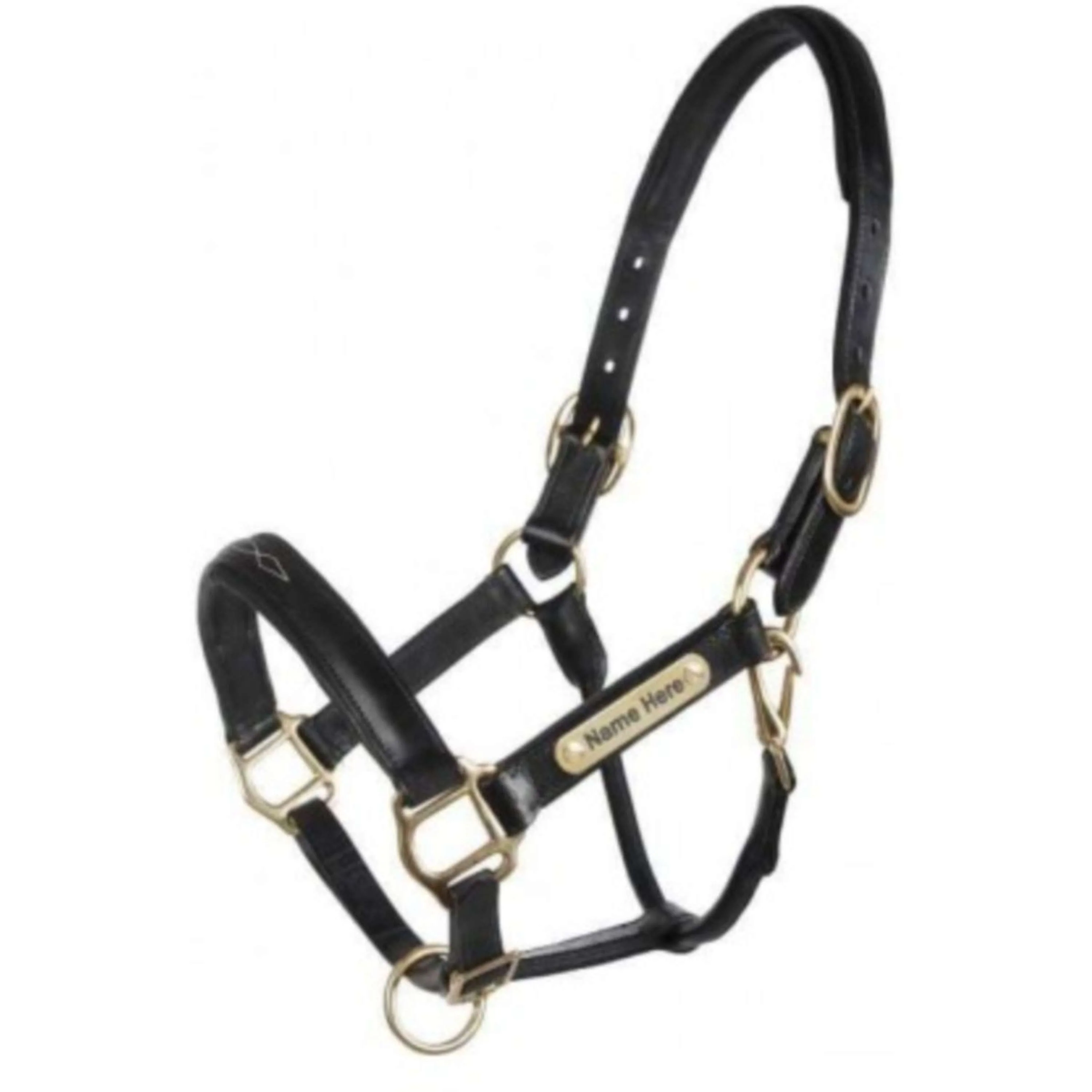 HB Cavezza Horse Name Pelle Nero
