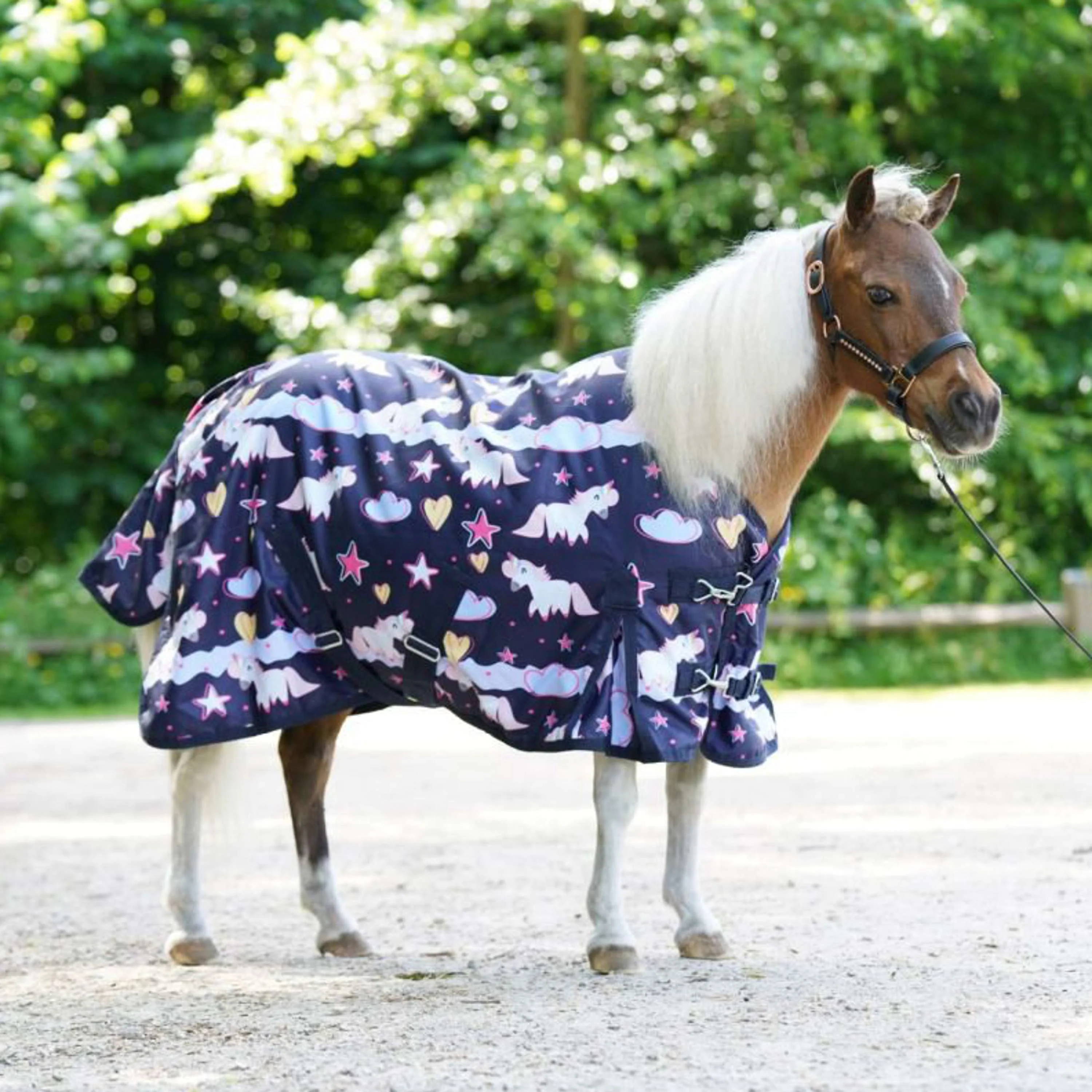 HB Tappeto da Esterno Harry and Hector 200 g Unicorn Dream