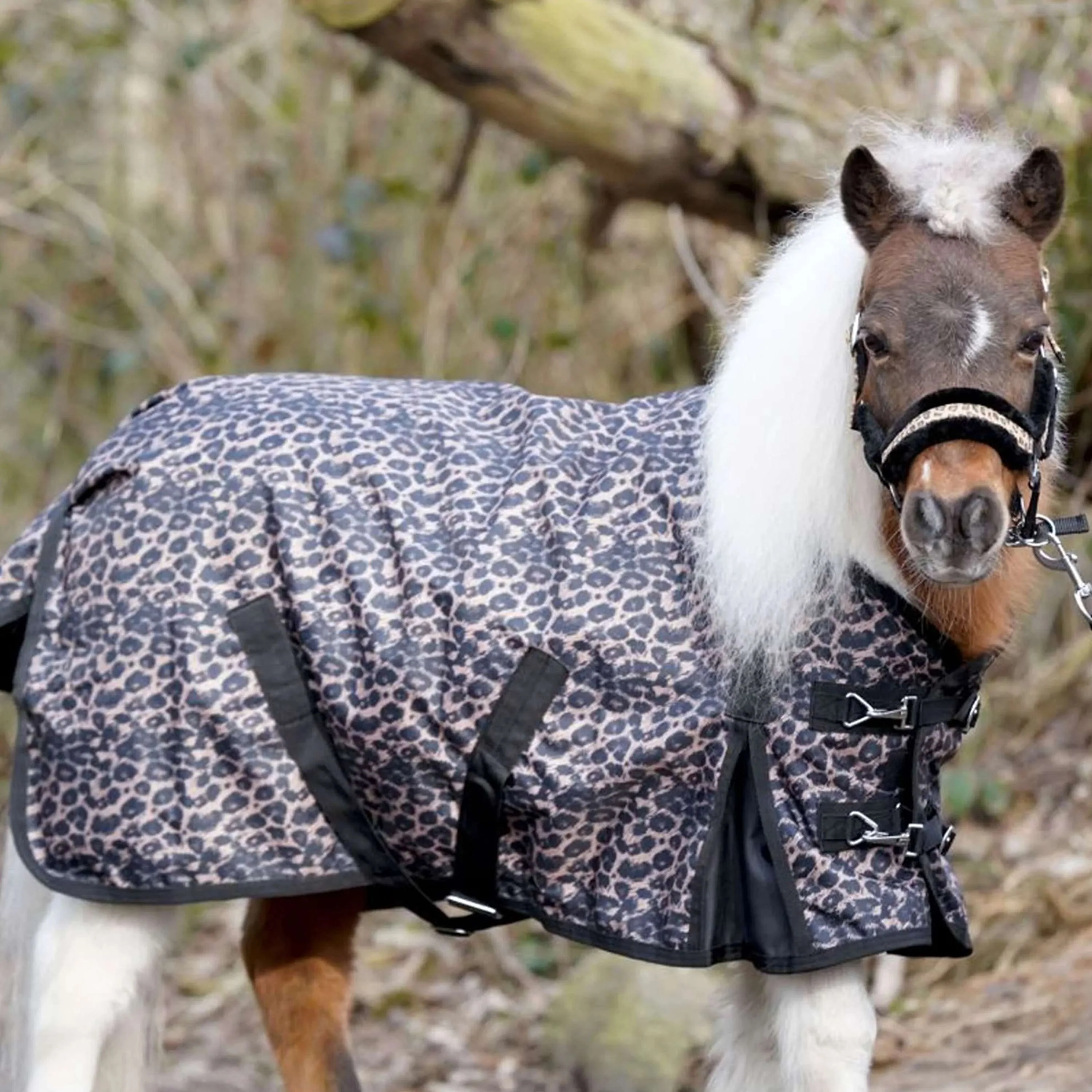 HB Tappeto da Esterno Leopard Pony 0g Leopard - Image 2