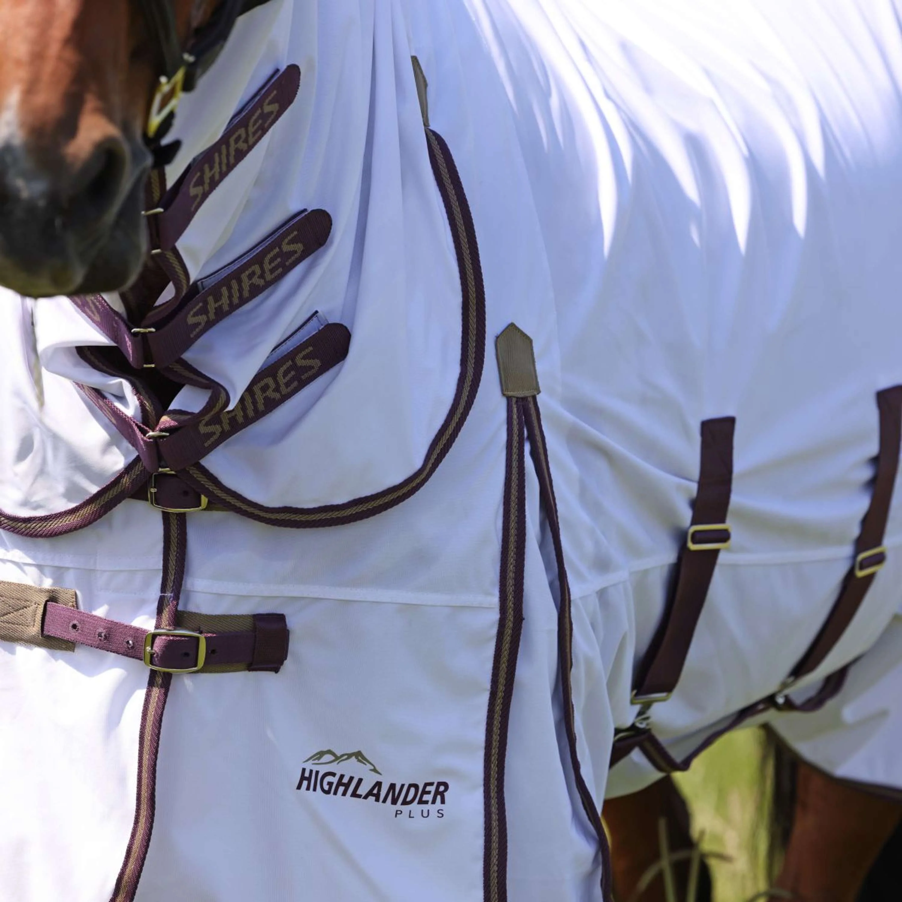 Highlander Plus by Shires Coperta Antimosche Combo Bianco/Black Cherry - Image 3