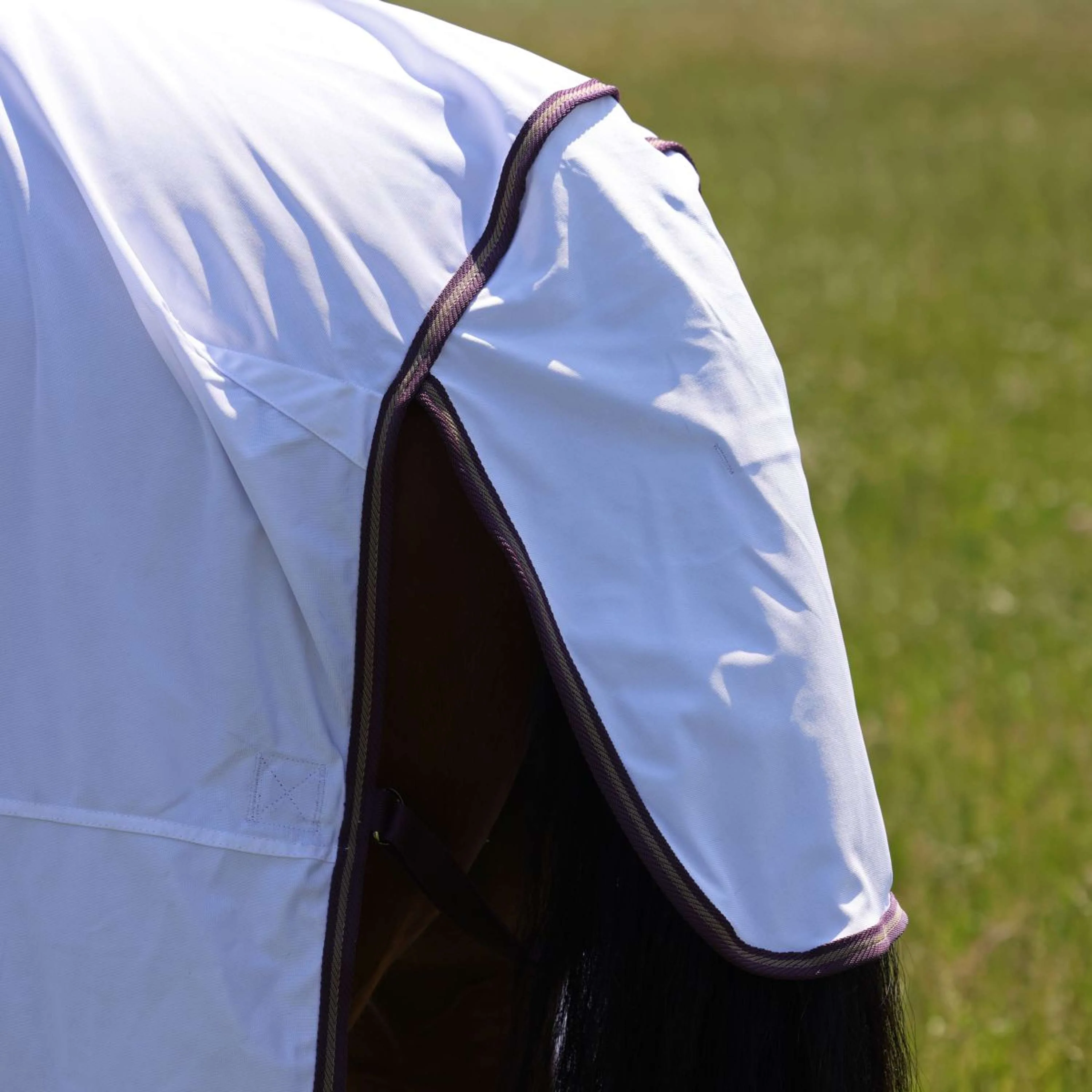 Highlander Plus by Shires Coperta Antimosche Combo Bianco/Black Cherry - Image 7