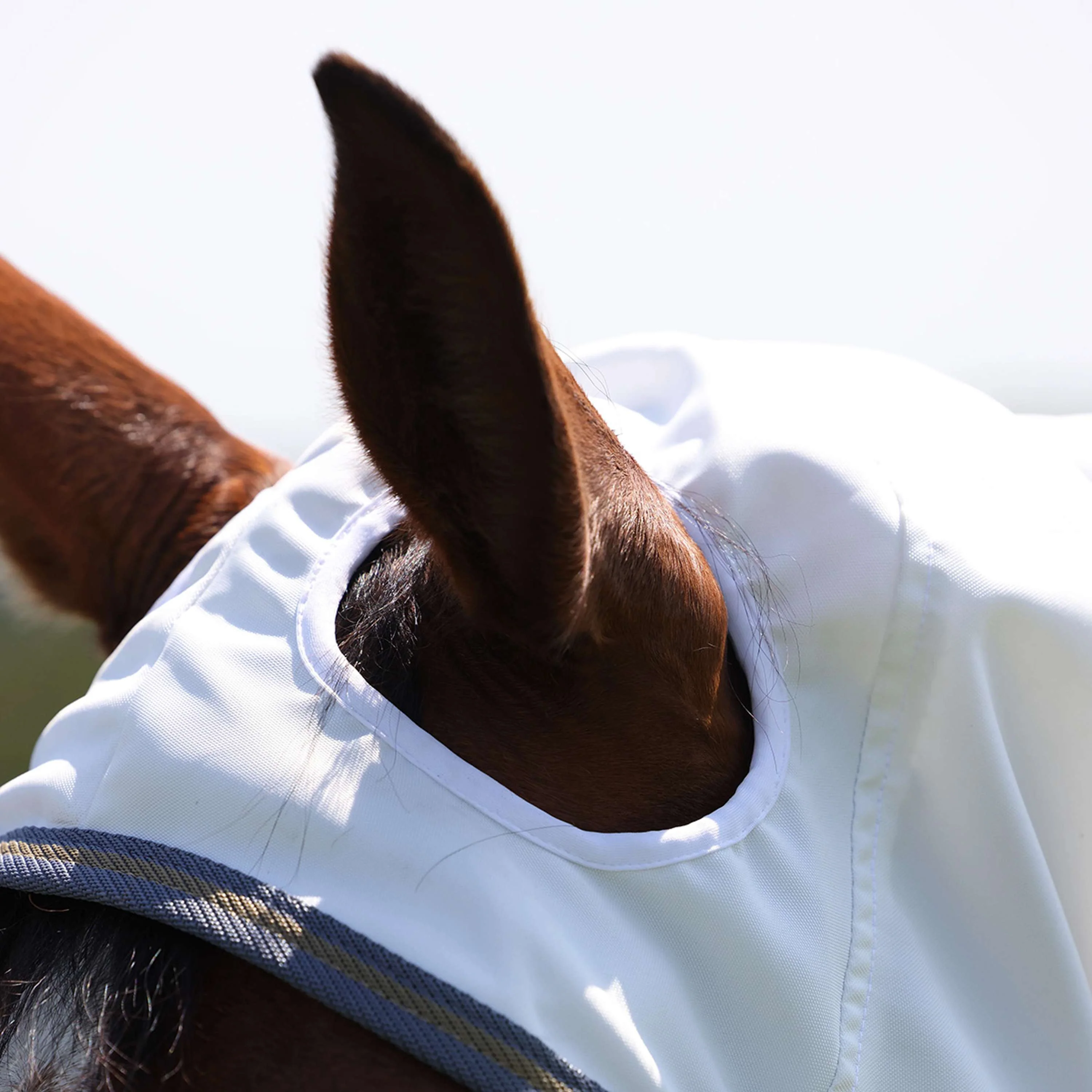 Highlander Plus by Shires Coperta per Eczema Sweet-Itch Combo Bianco/Airforce - Image 4