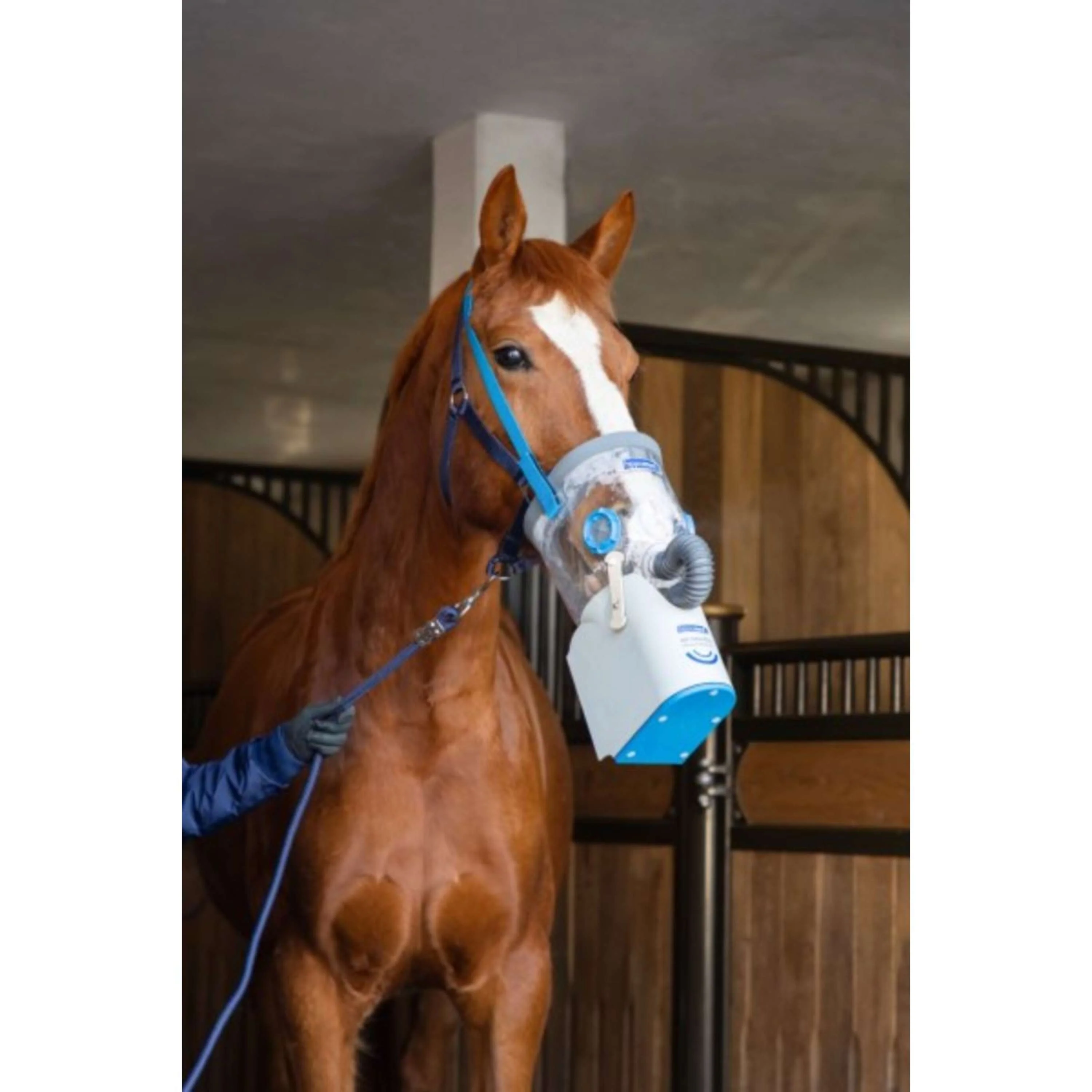 Hippomed Inalatore AirOne Flex Set - Image 4
