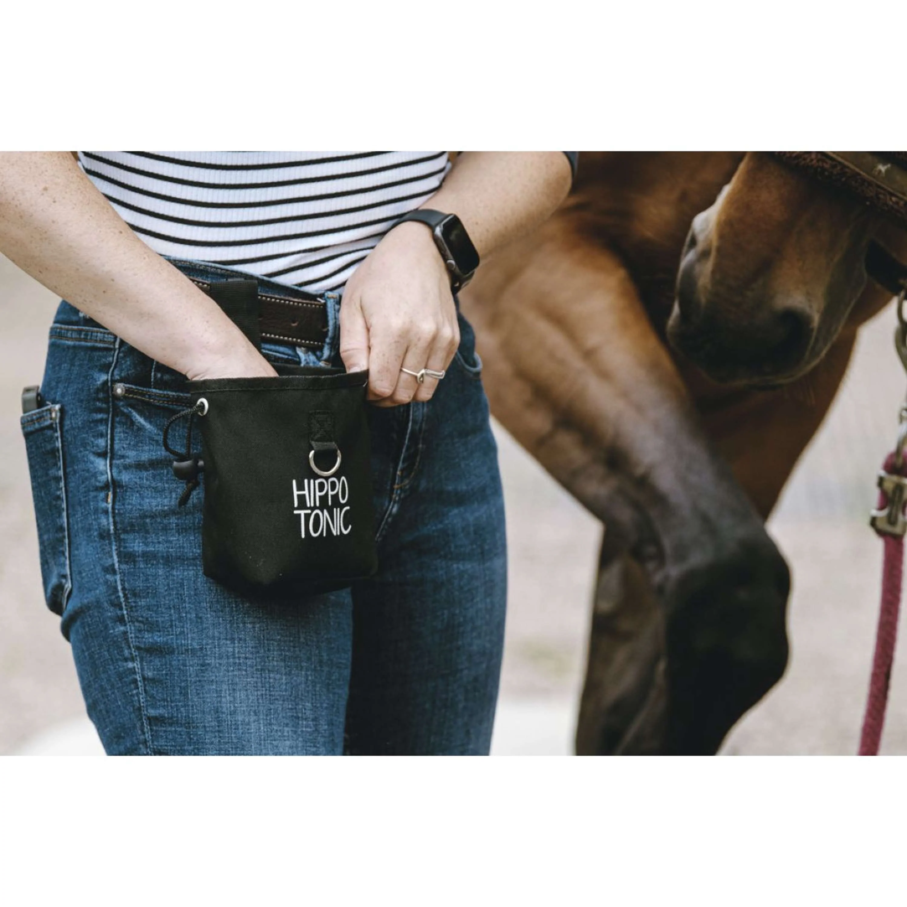 Hippotonic Borsa premio Klein - Image 7