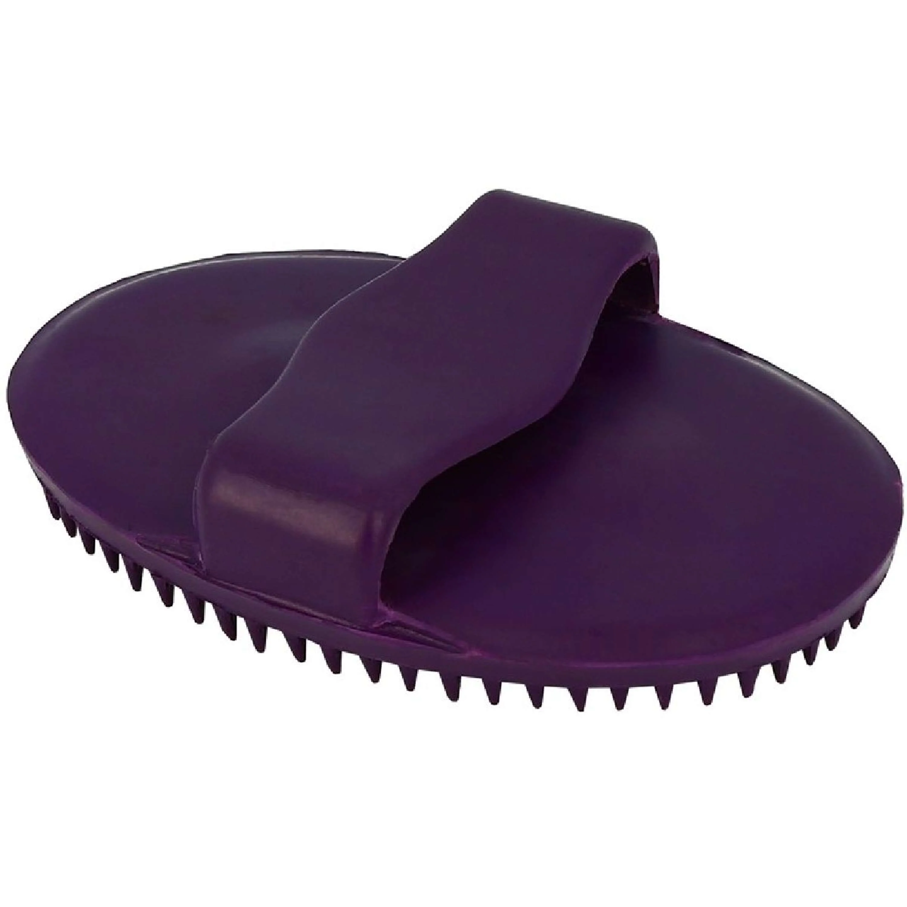 Hippotonic Striglia Viola