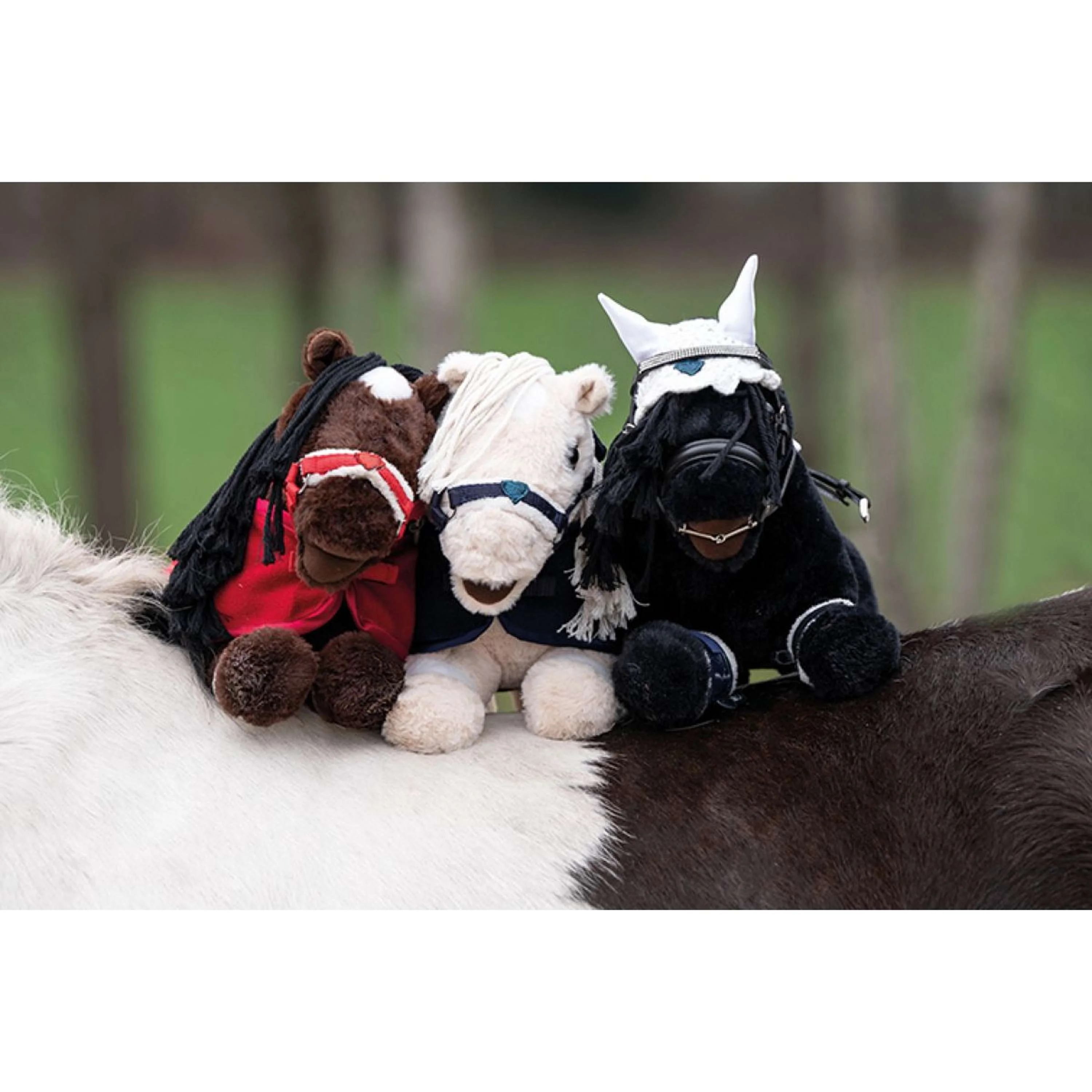 HKM Pony Peluche Marrone chiaro - Image 4