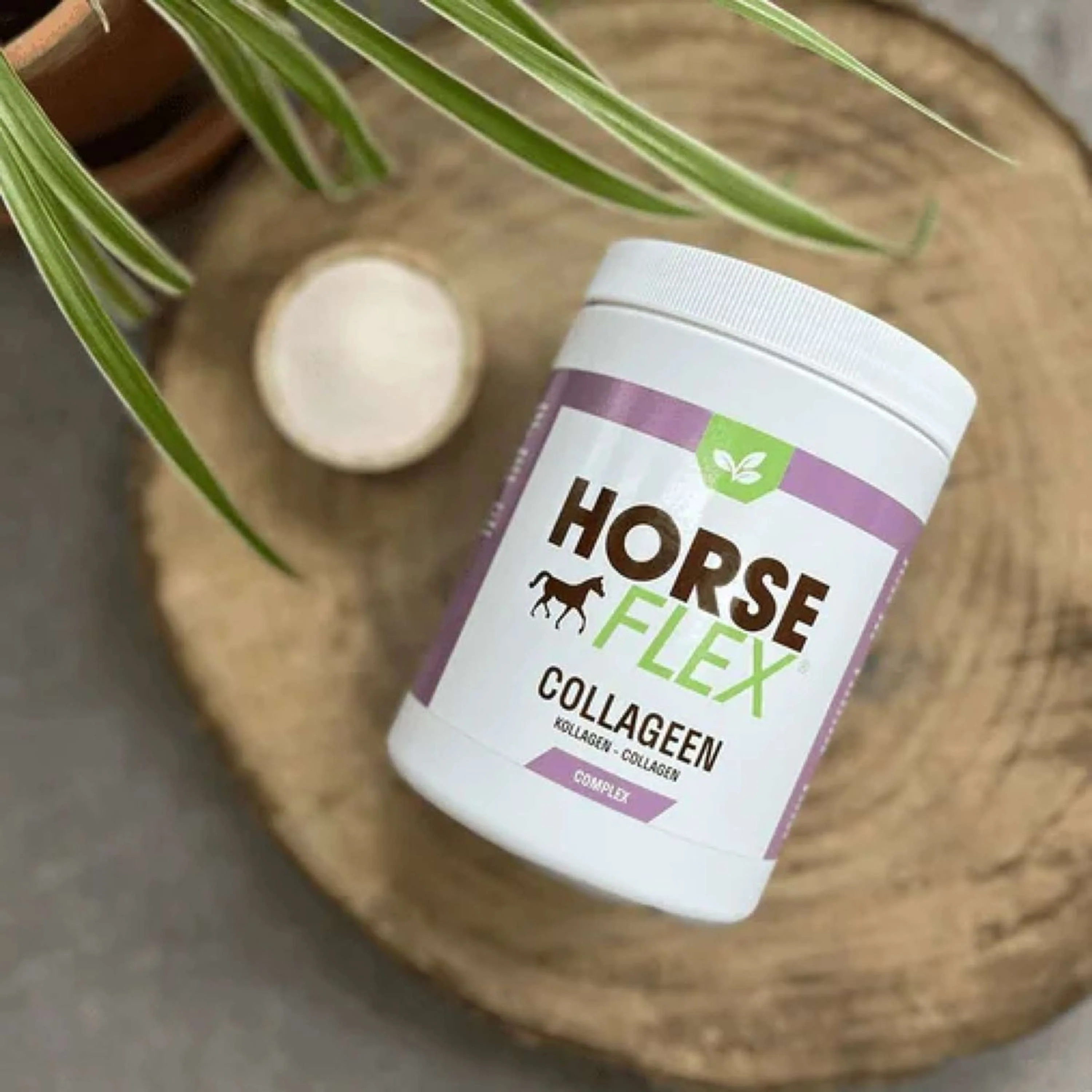 HorseFlex Complesso Collagene Ricarica - Image 3