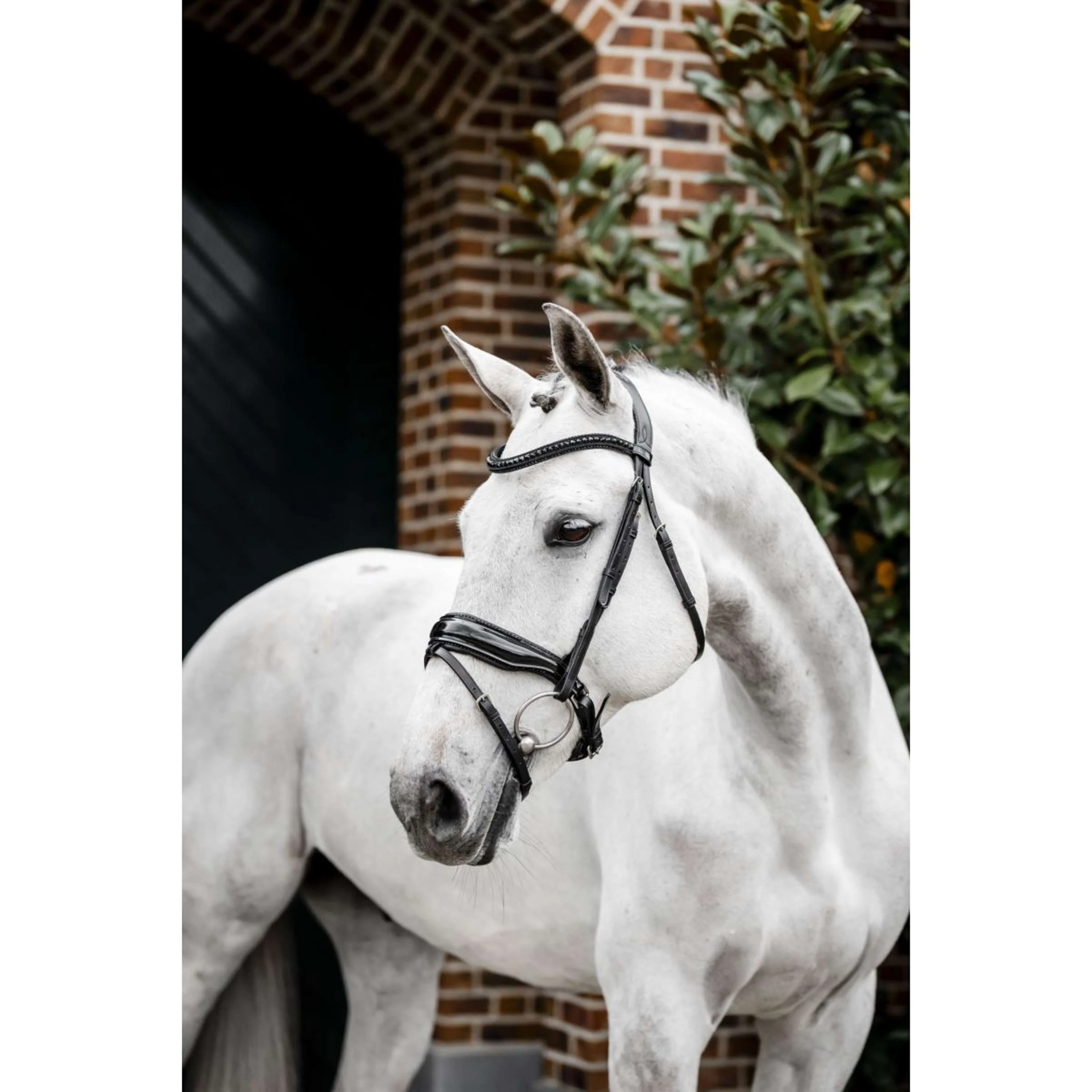 Horseware Briglia Diamante Nero - Image 3