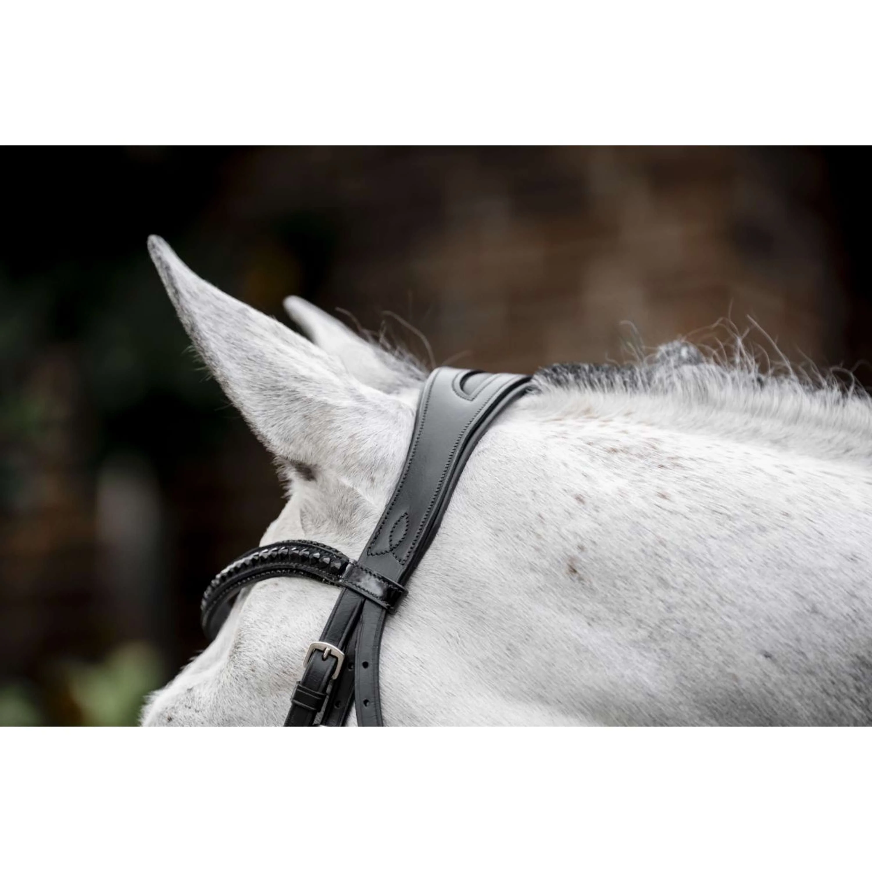 Horseware Briglia Diamante Nero - Image 4