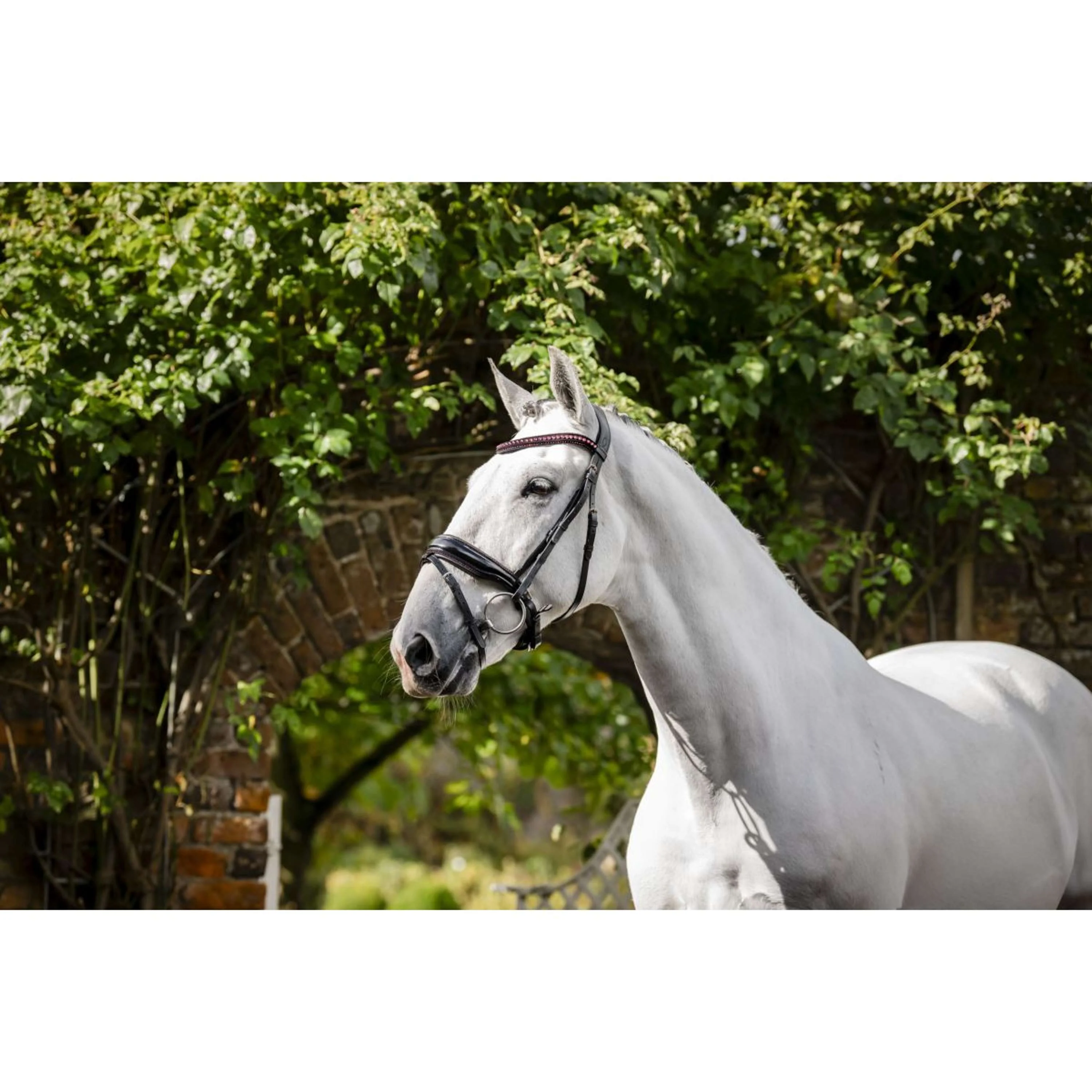 Horseware Briglia Diamante Nero/Rosa - Image 5