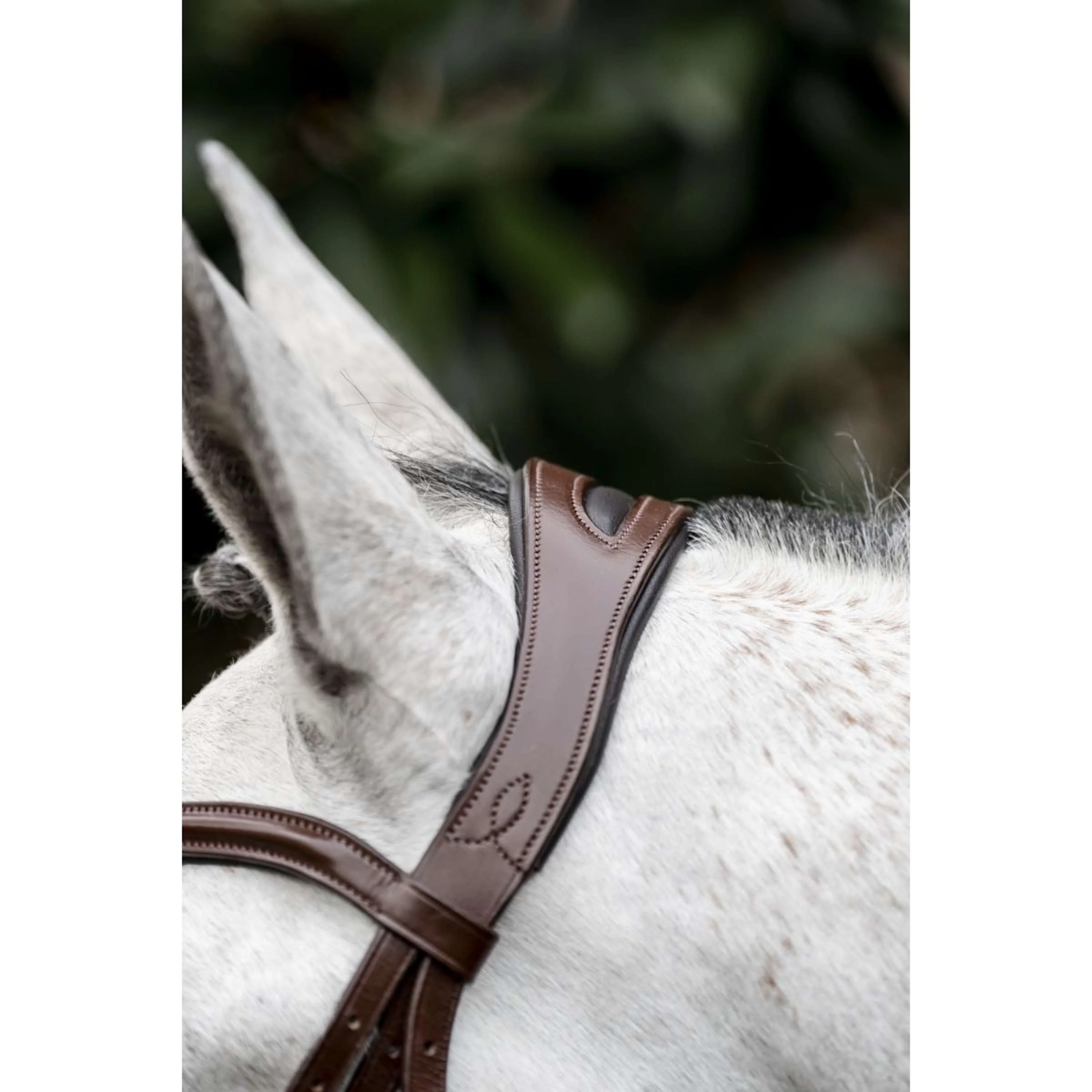 Horseware Briglia Pony Flash Marrone - Image 10