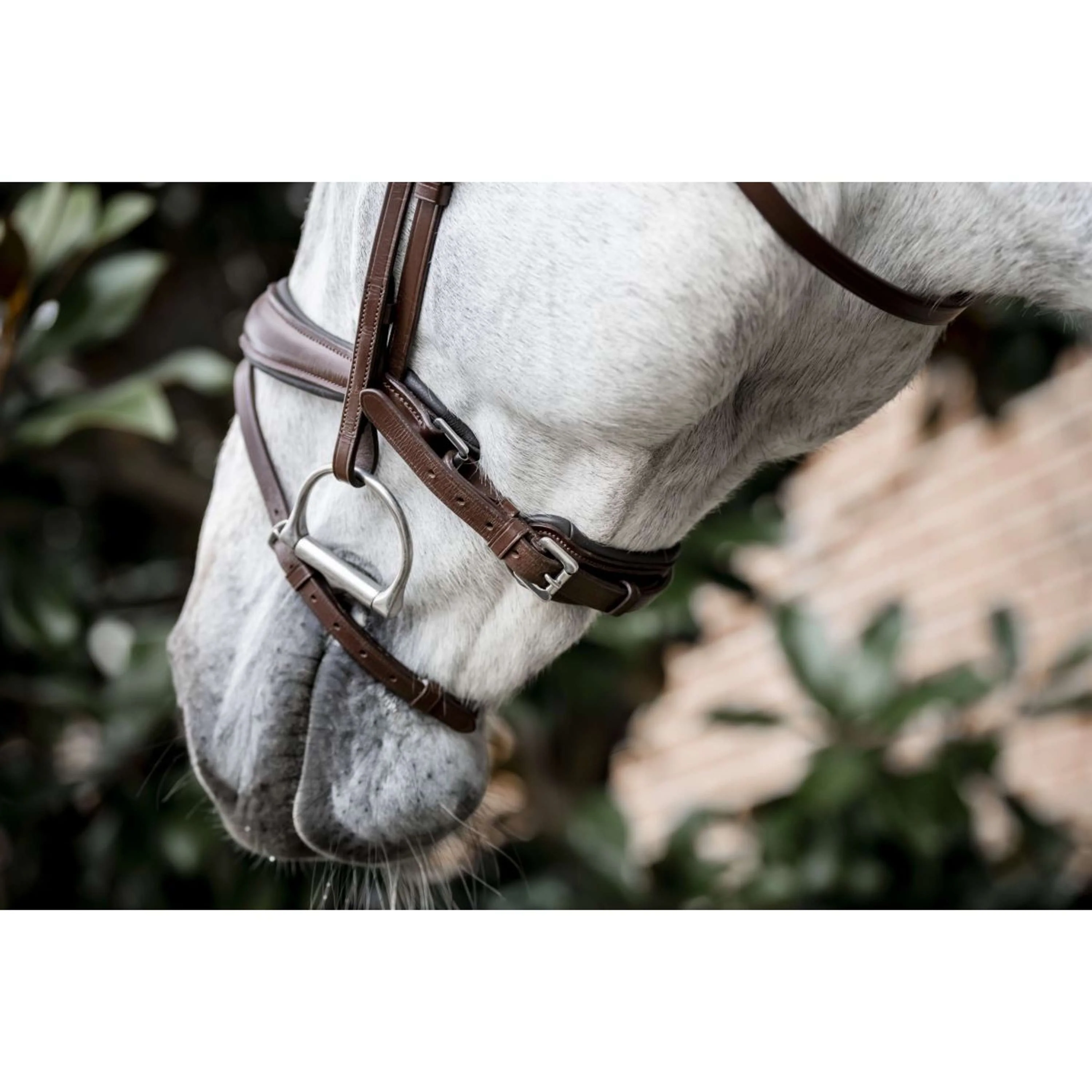 Horseware Briglia Pony Flash Marrone - Image 6
