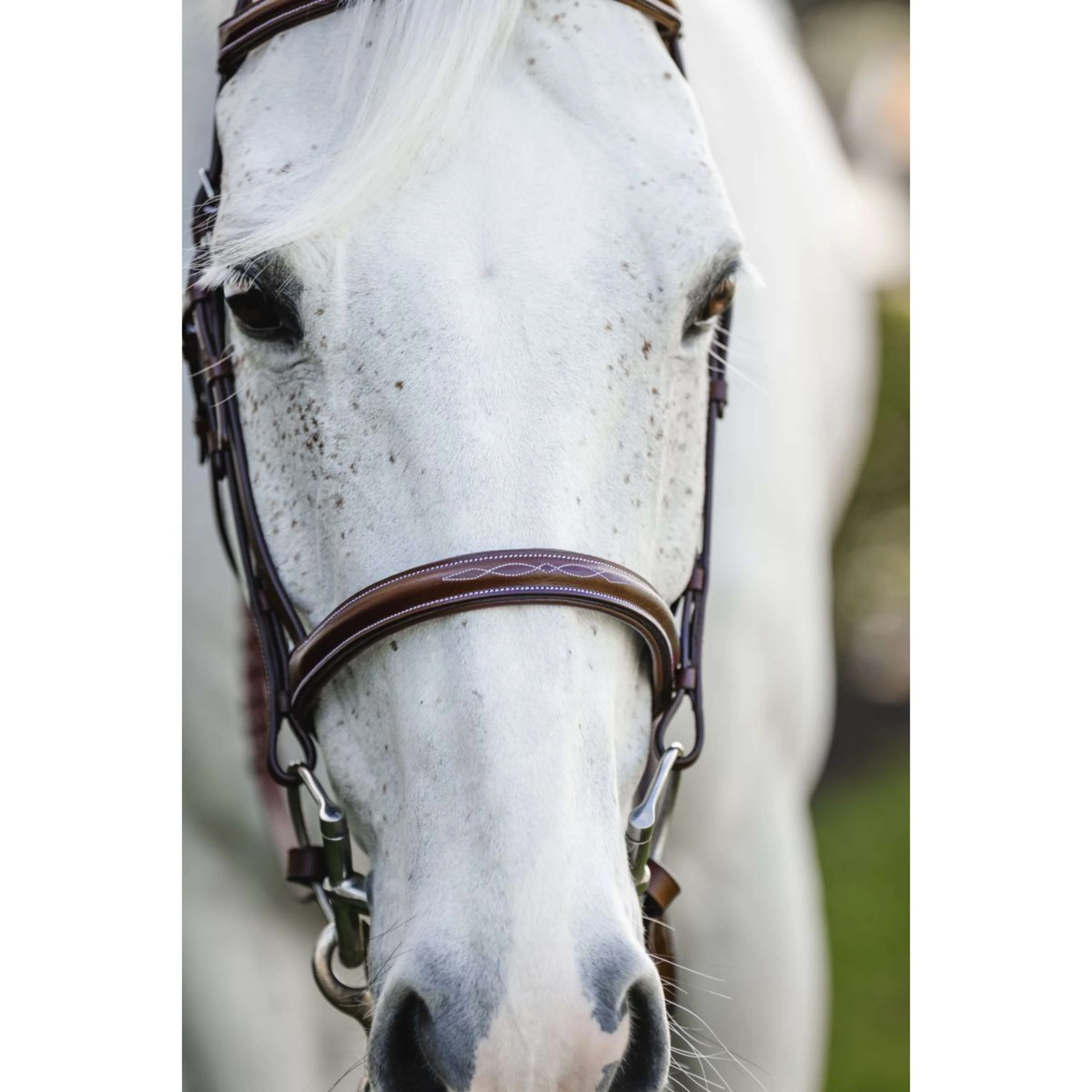 Horseware Briglia Pony Hunter Cavesson con Riens Dark Tan - Image 2