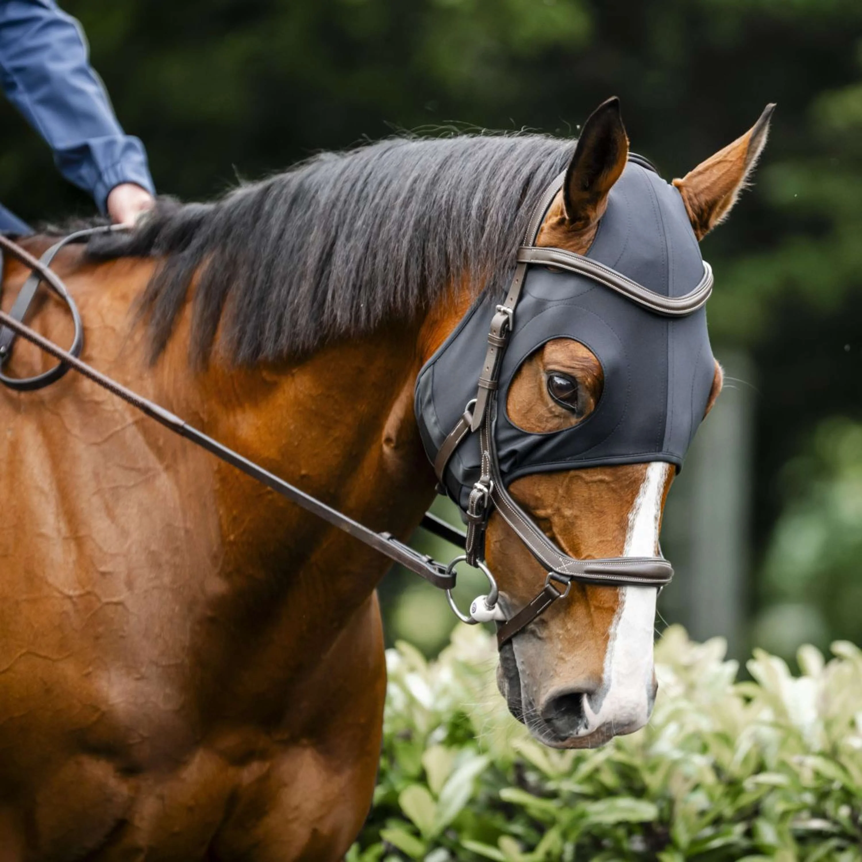 Horseware Calming Face Mask Ionic Nero - Image 3
