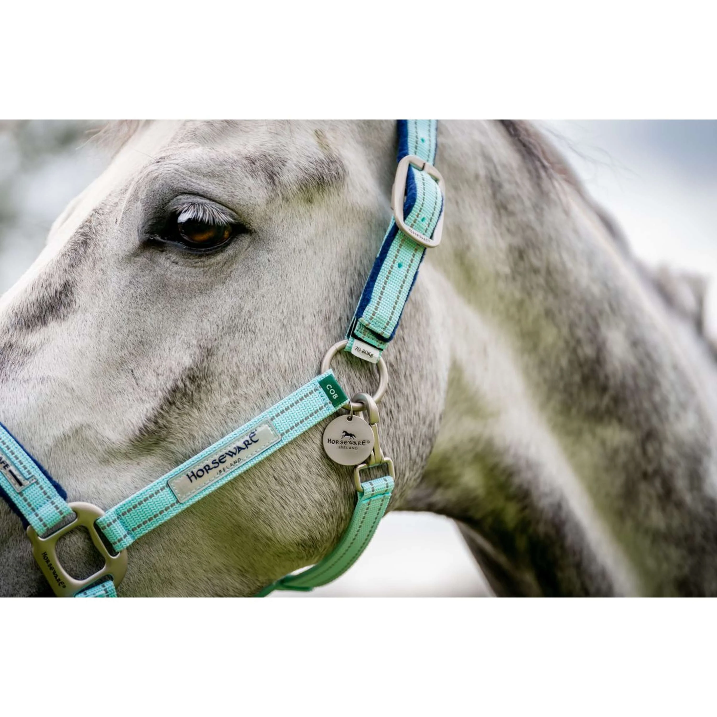 Horseware Cavezza Field Safe Blue Haze - Image 5