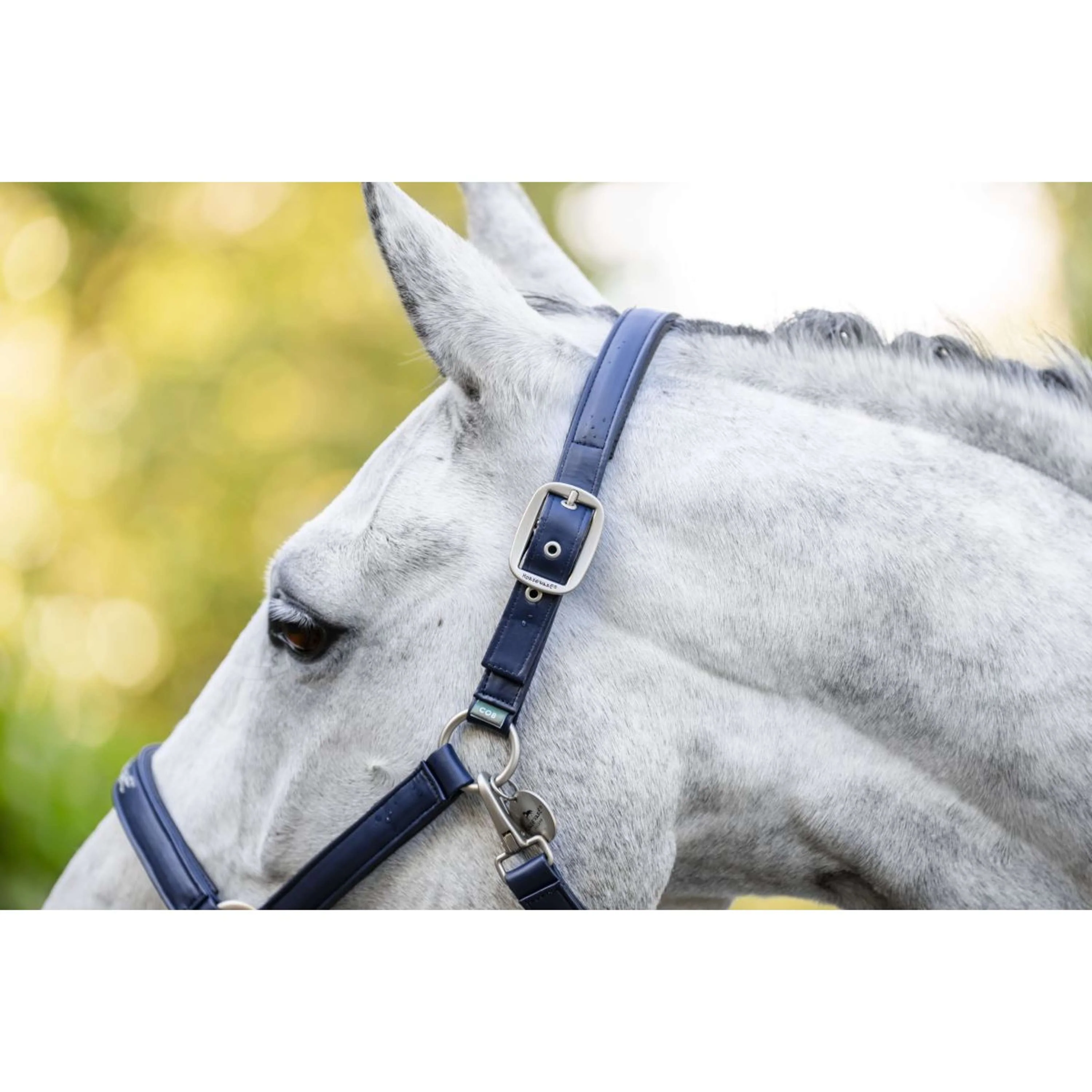 Horseware Cavezza Grooming Navy - Image 13