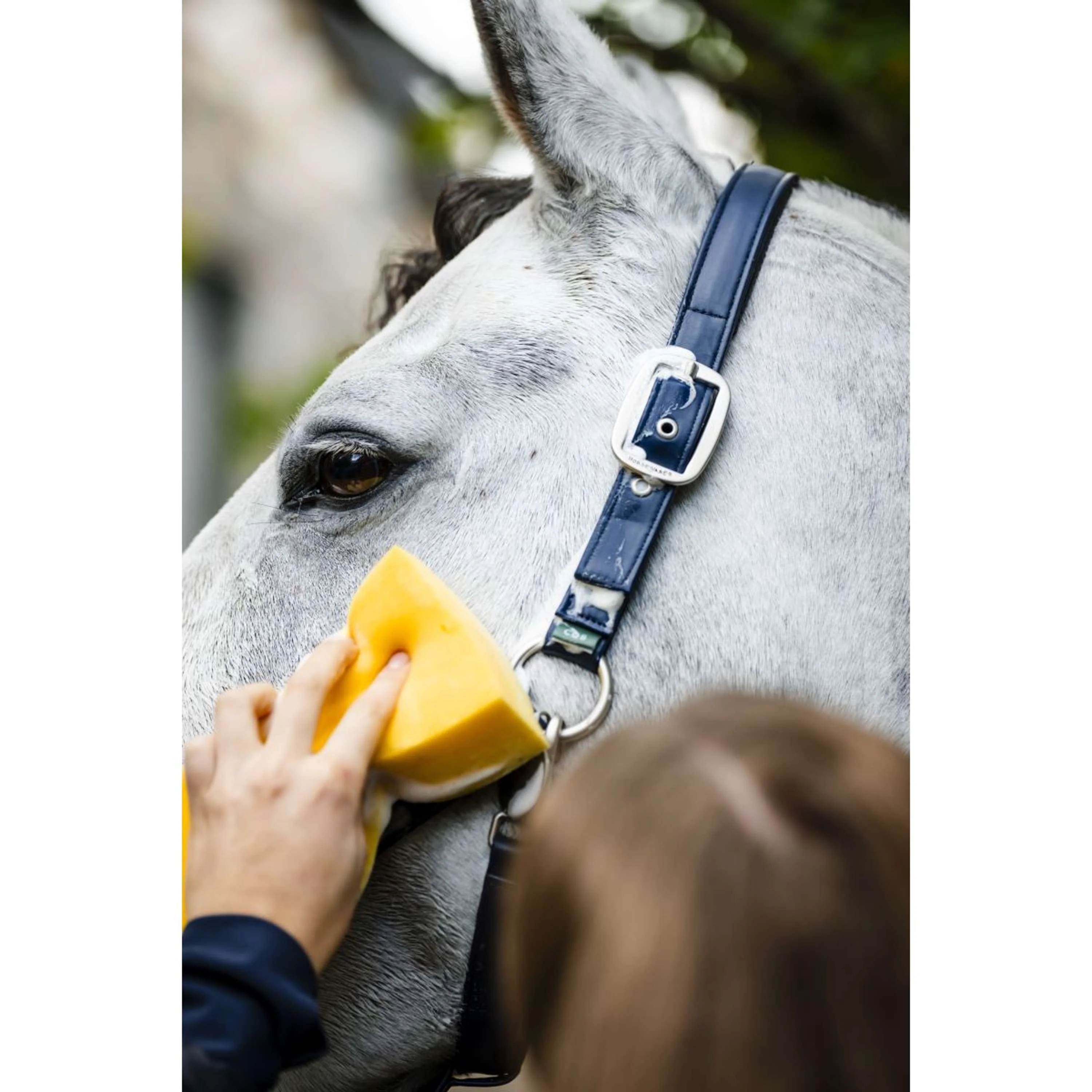 Horseware Cavezza Grooming Navy - Image 5