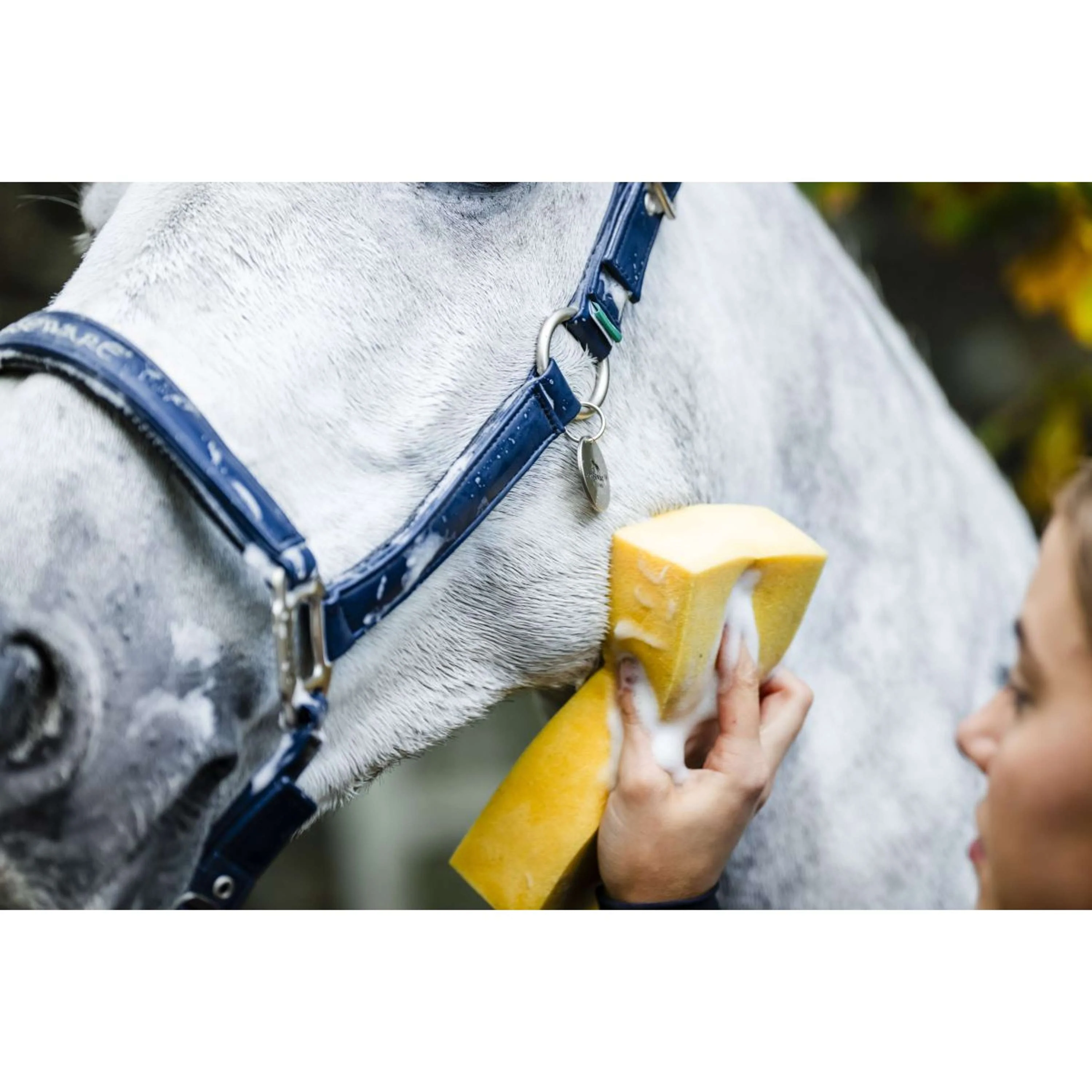 Horseware Cavezza Grooming Navy - Image 7