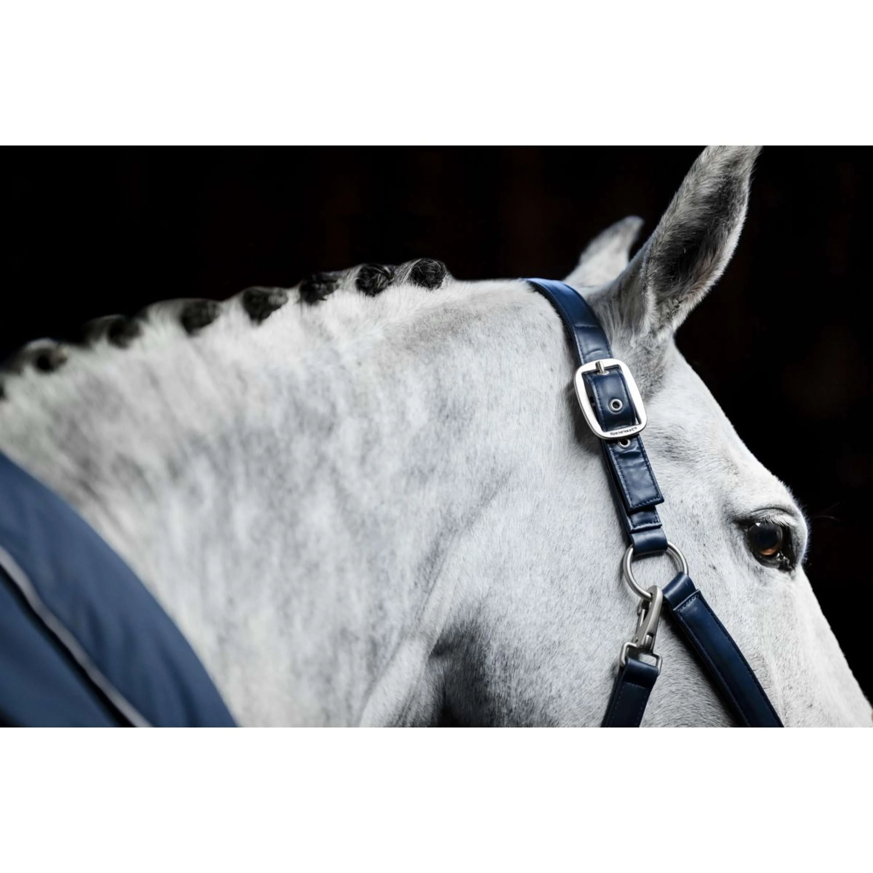 Horseware Cavezza Grooming Navy - Image 9