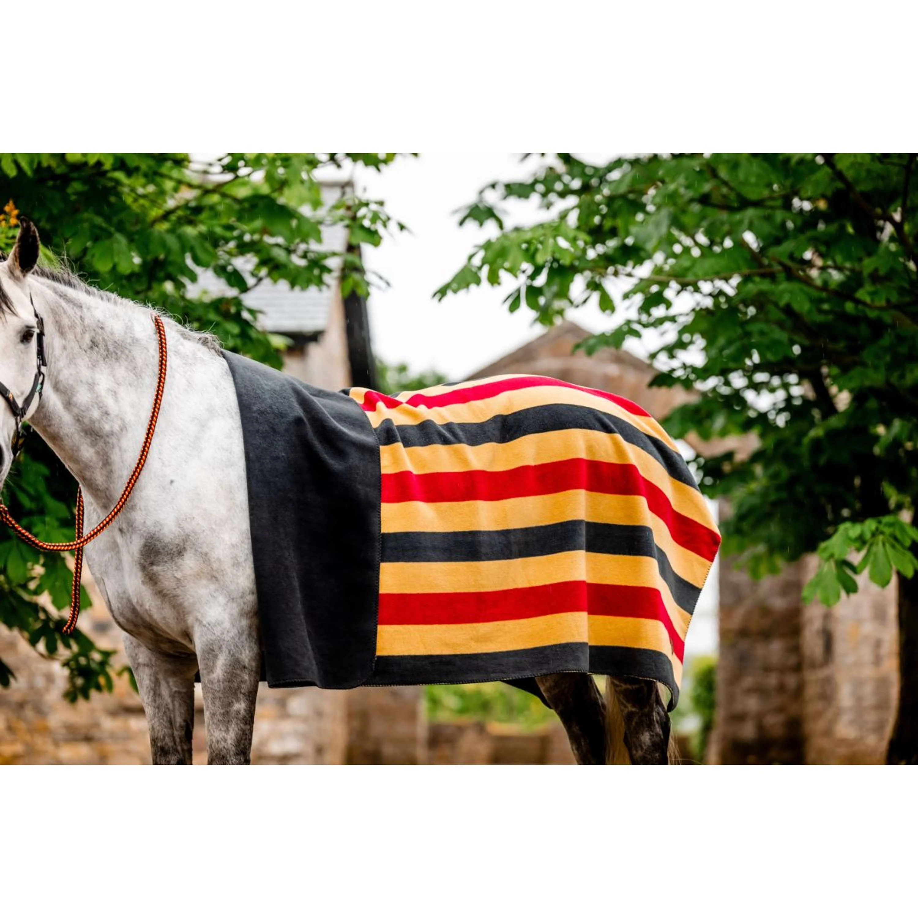 Horseware Coperta in Pile Newmarket Witney Gold - Image 2