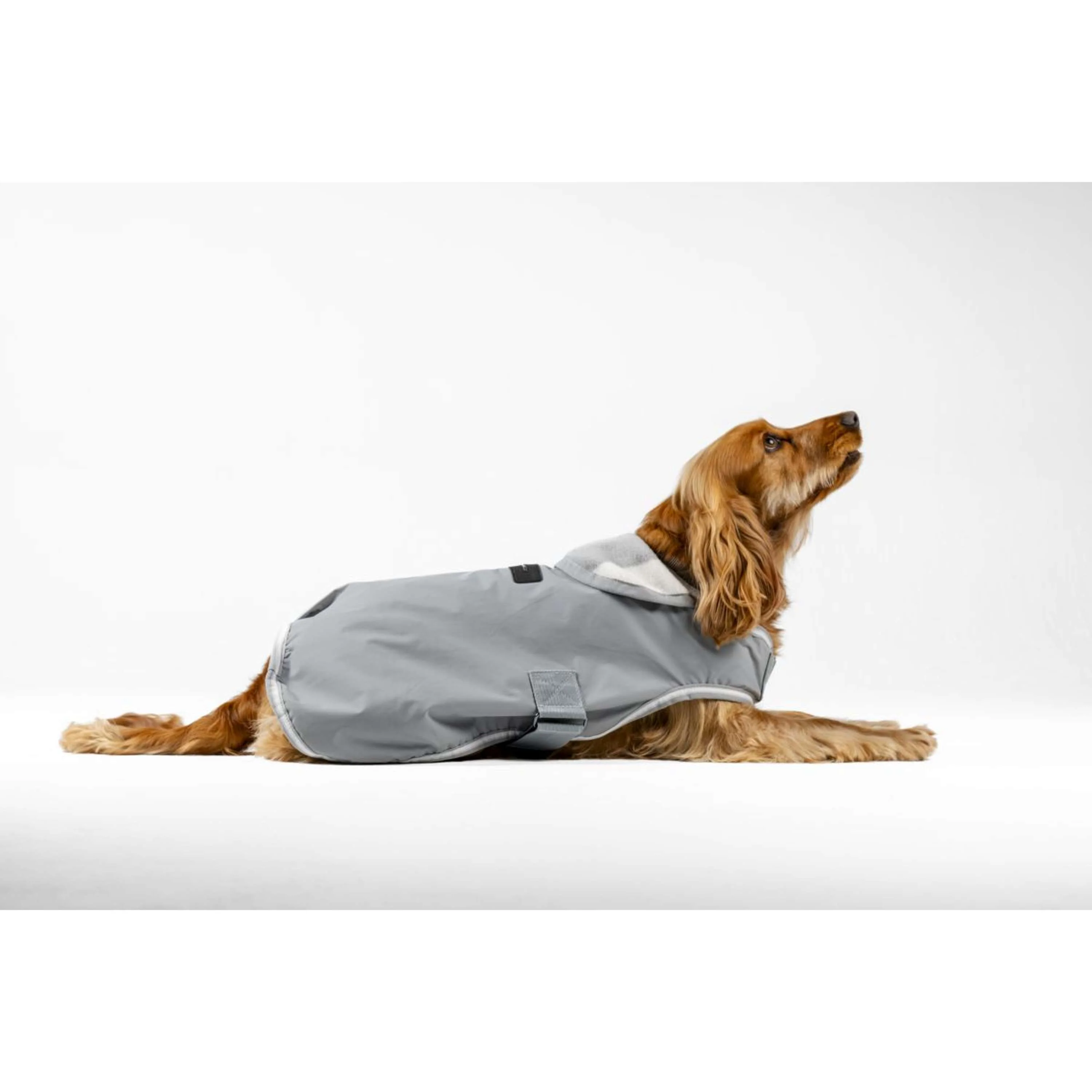 Horseware Coperta per Cani Newmarket Witney Charcoal - Image 2