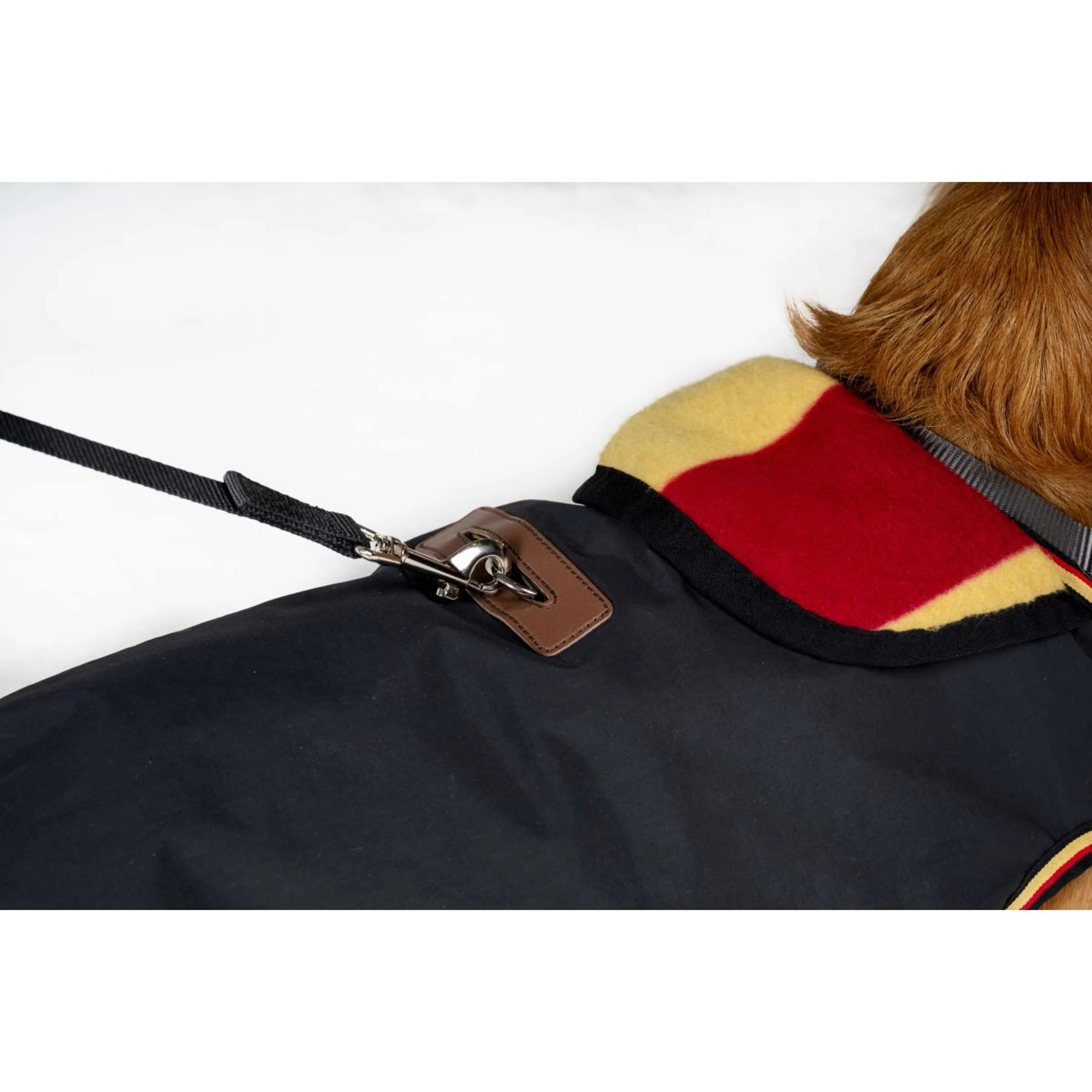 Horseware Coperta per Cani Newmarket Witney Gold - Image 3