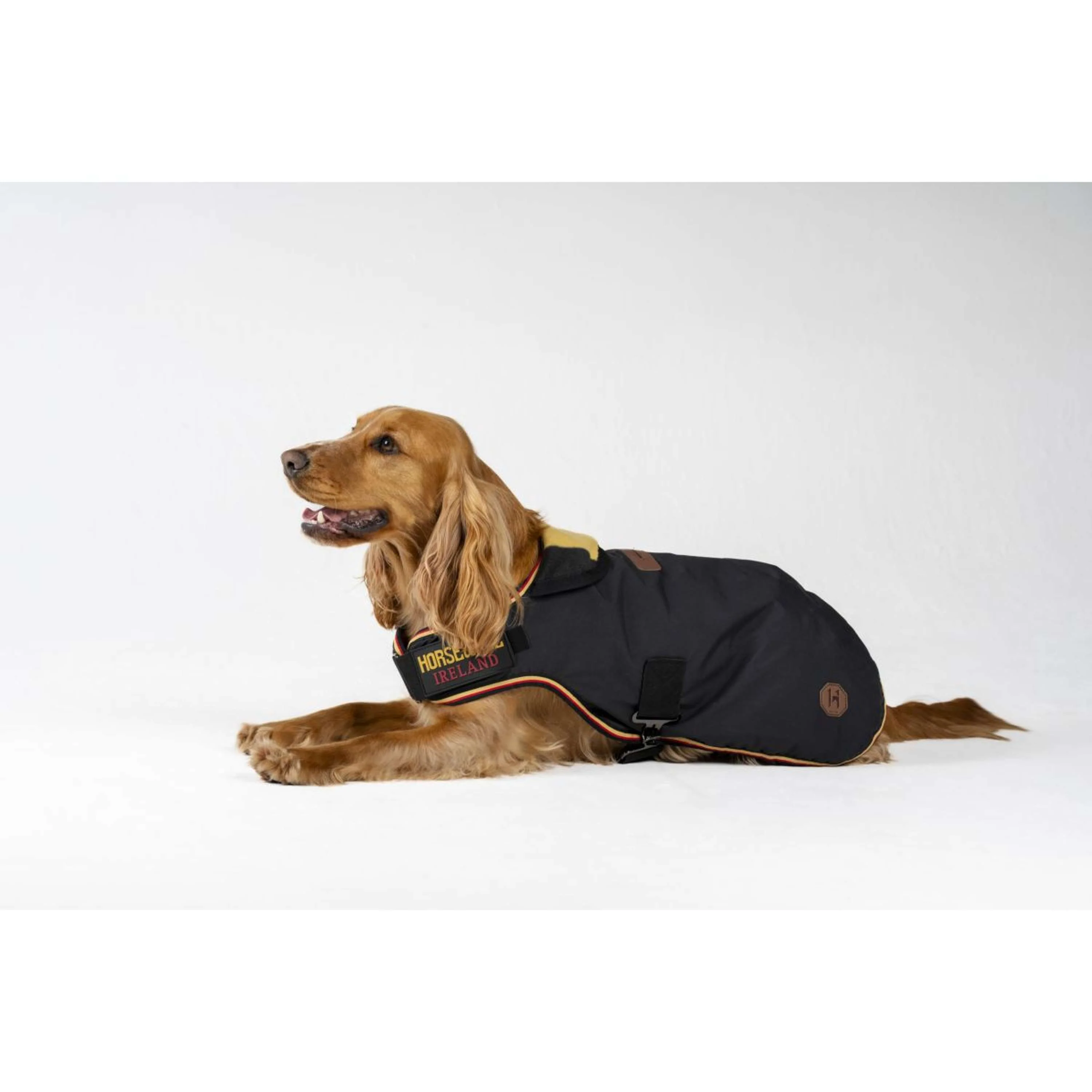 Horseware Coperta per Cani Newmarket Witney Gold - Image 4