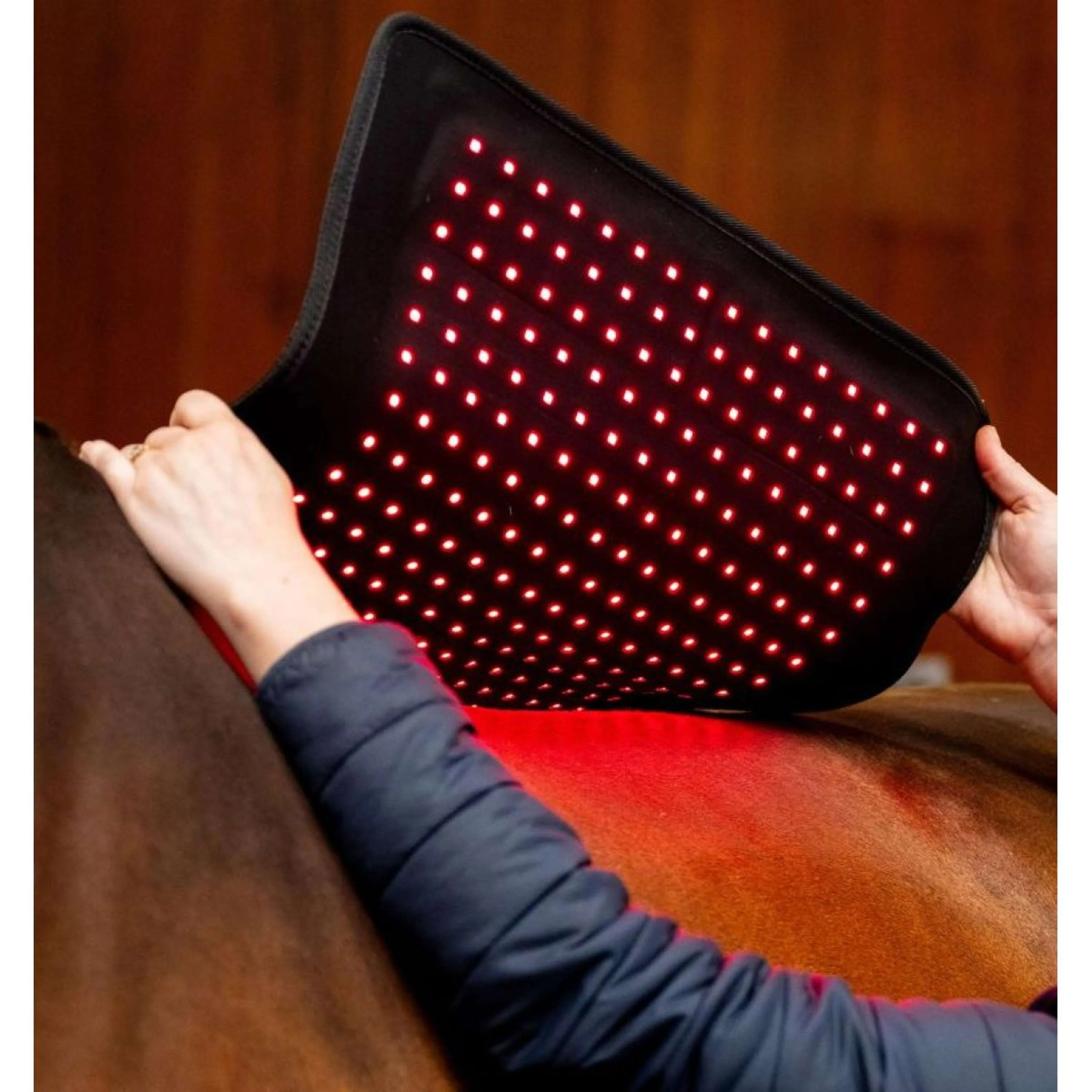 Horseware GUIDATO Red Light Therapy Pad Nero - Image 2