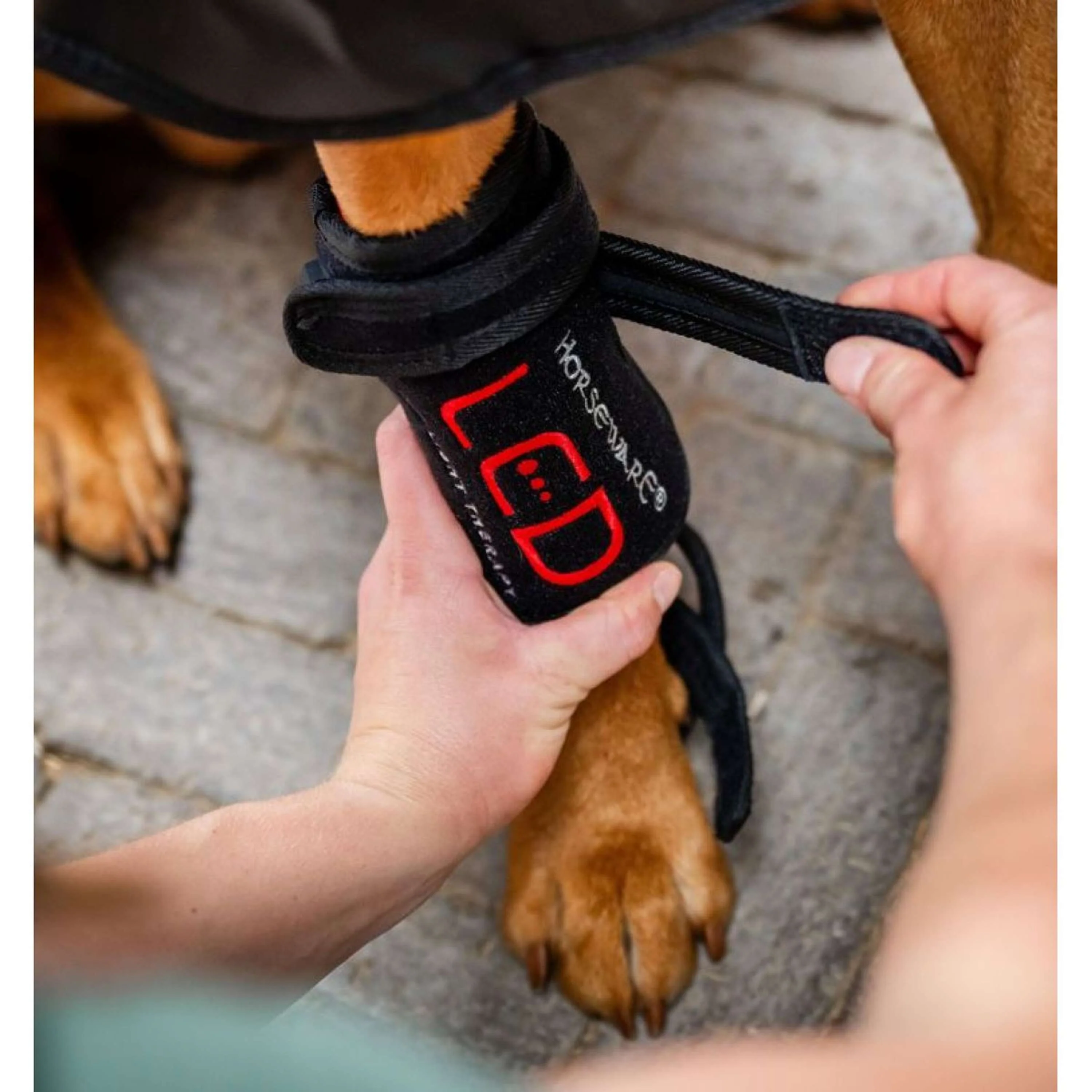 Horseware GUIDATO Red Light Therapy Pet Leg Wrap Nero - Image 2