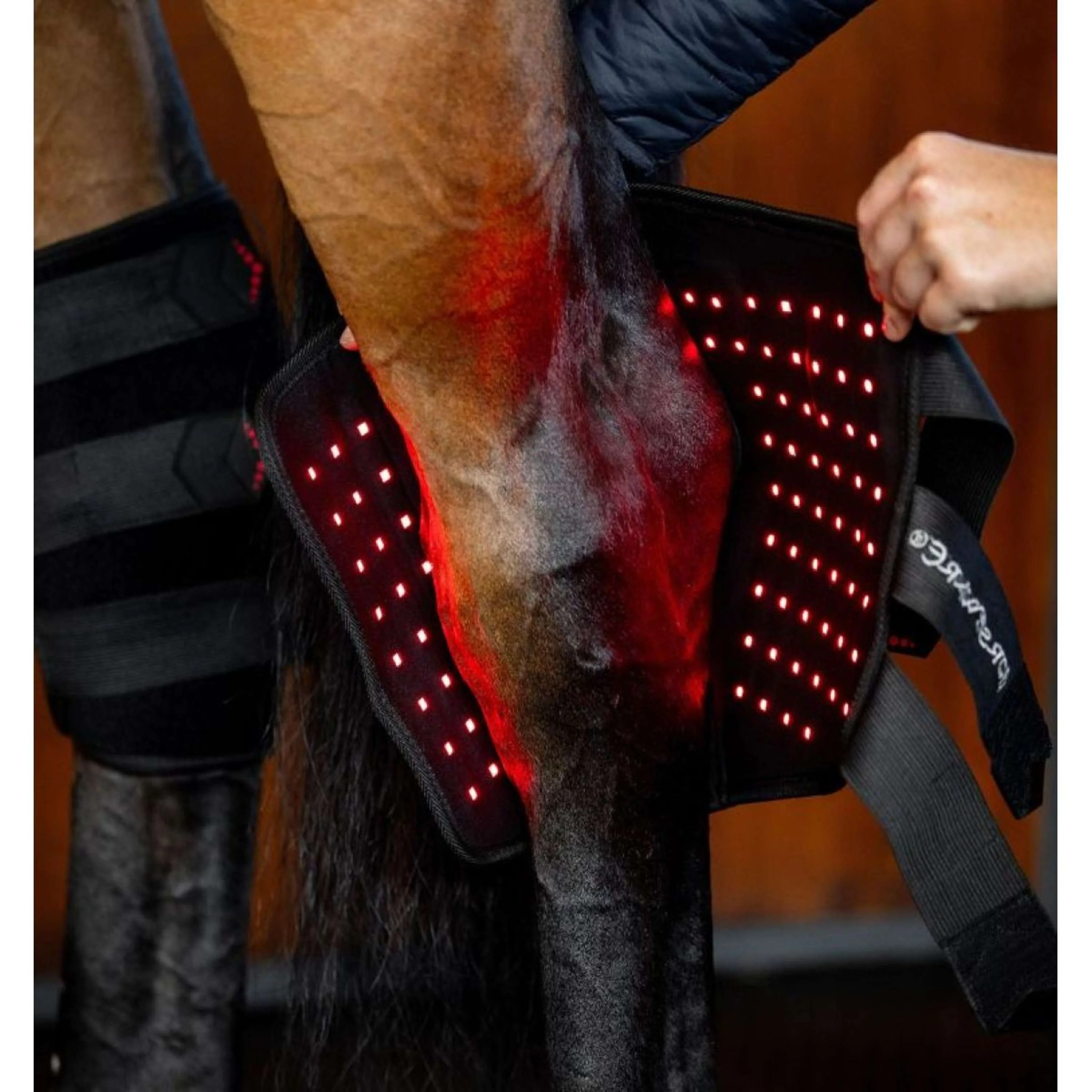 Horseware GUIDATO Red Light Therapy Right Hock Boot Nero - Image 5