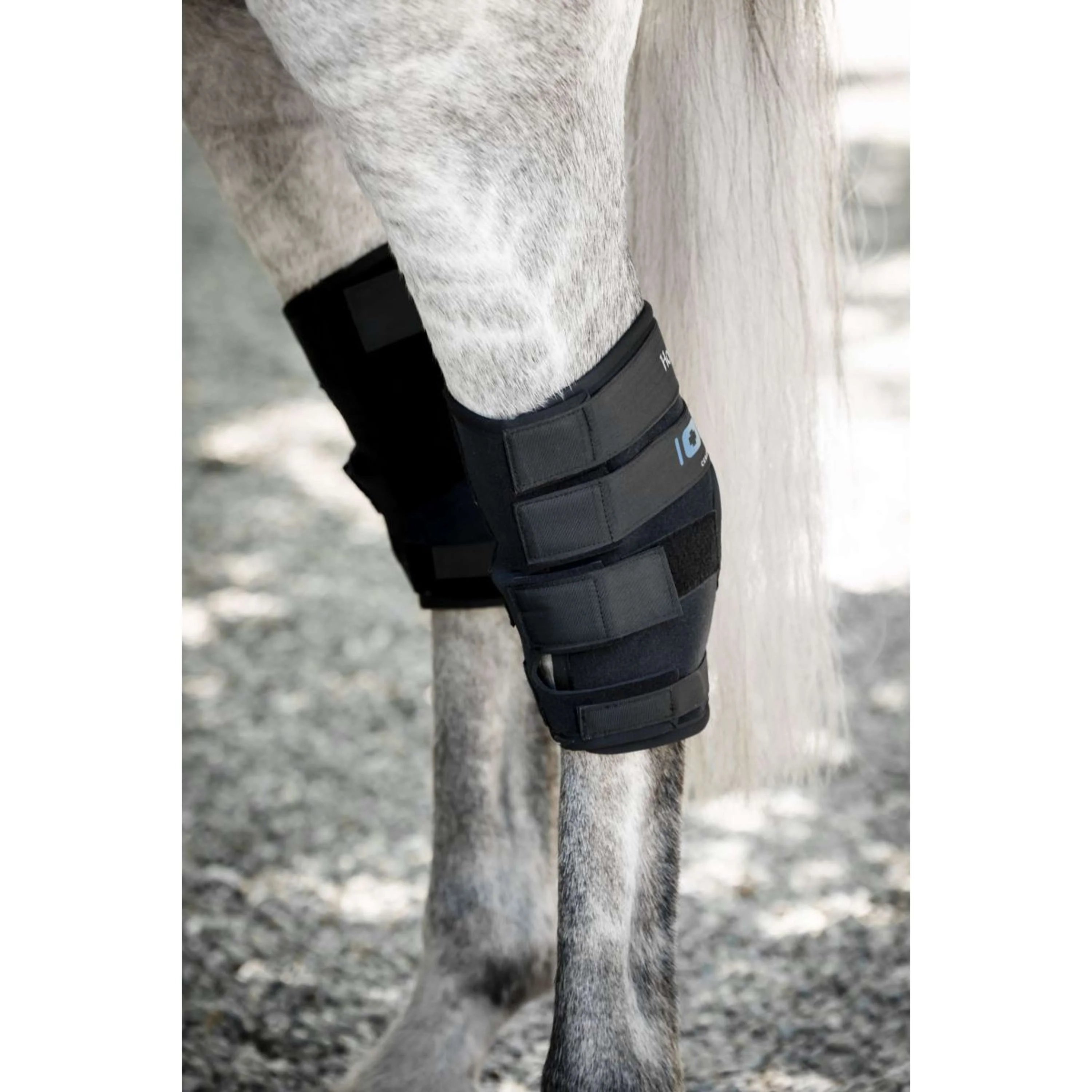 Horseware Hock Boots Ionic Set of 2 Nero - Image 7