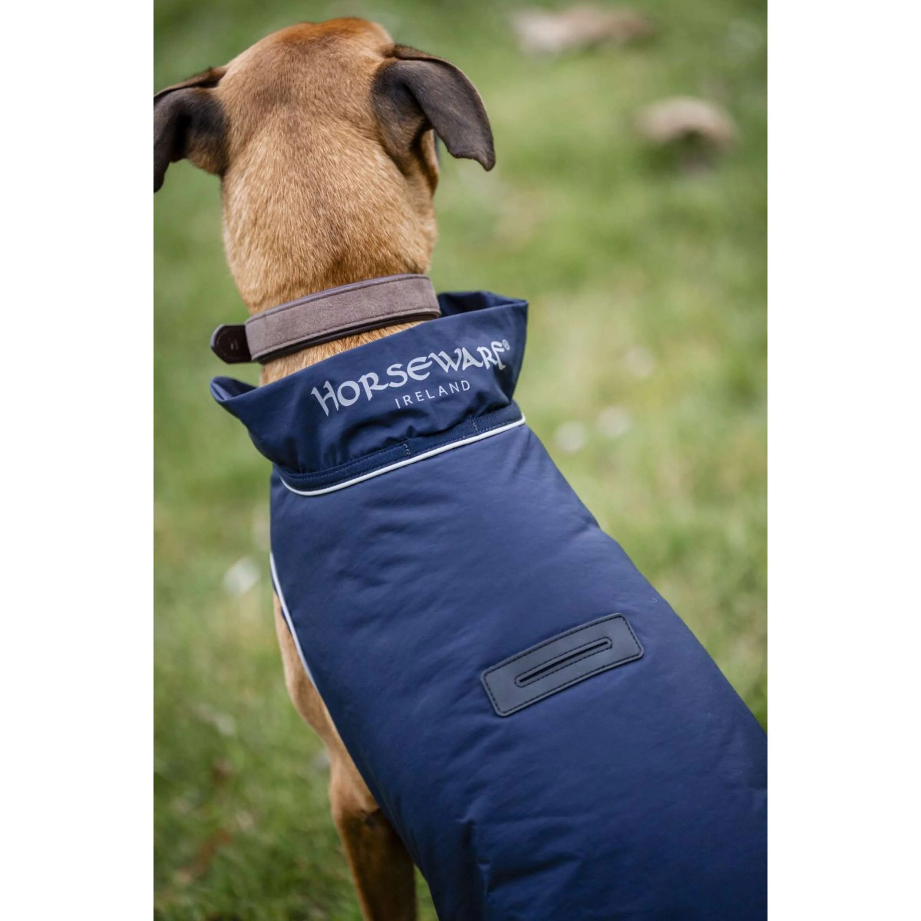 Horseware Impermeabile per Cani Signature 100g Navy - Image 6