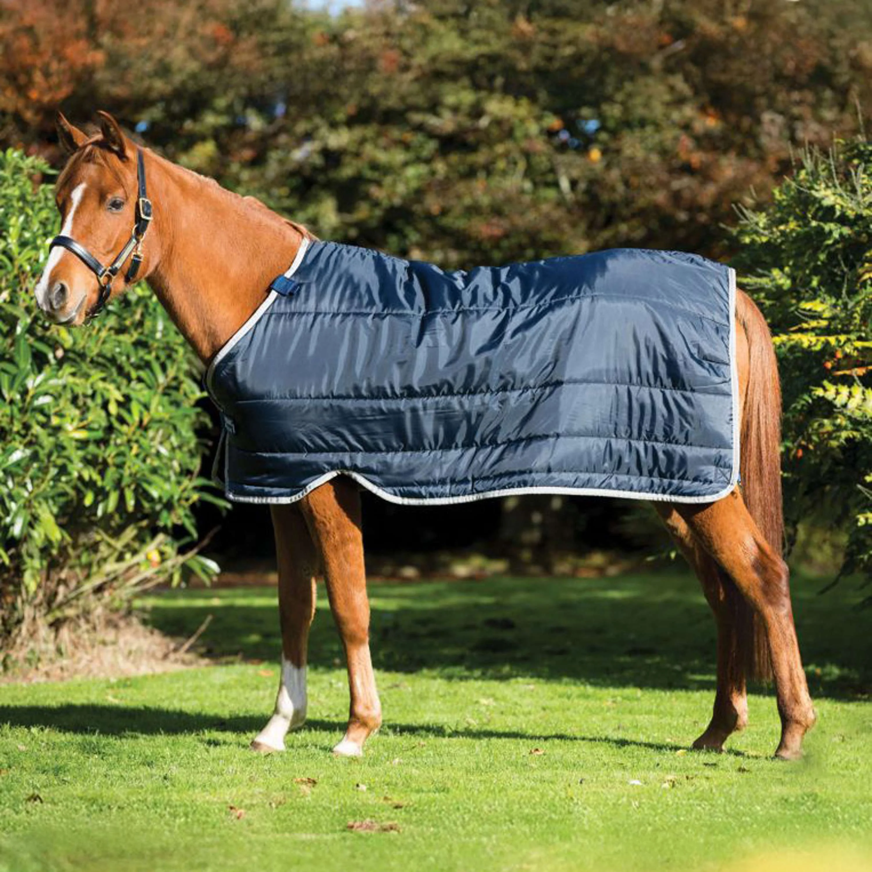 Horseware Liner Pony 300g Blu marino/Argento - Image 2