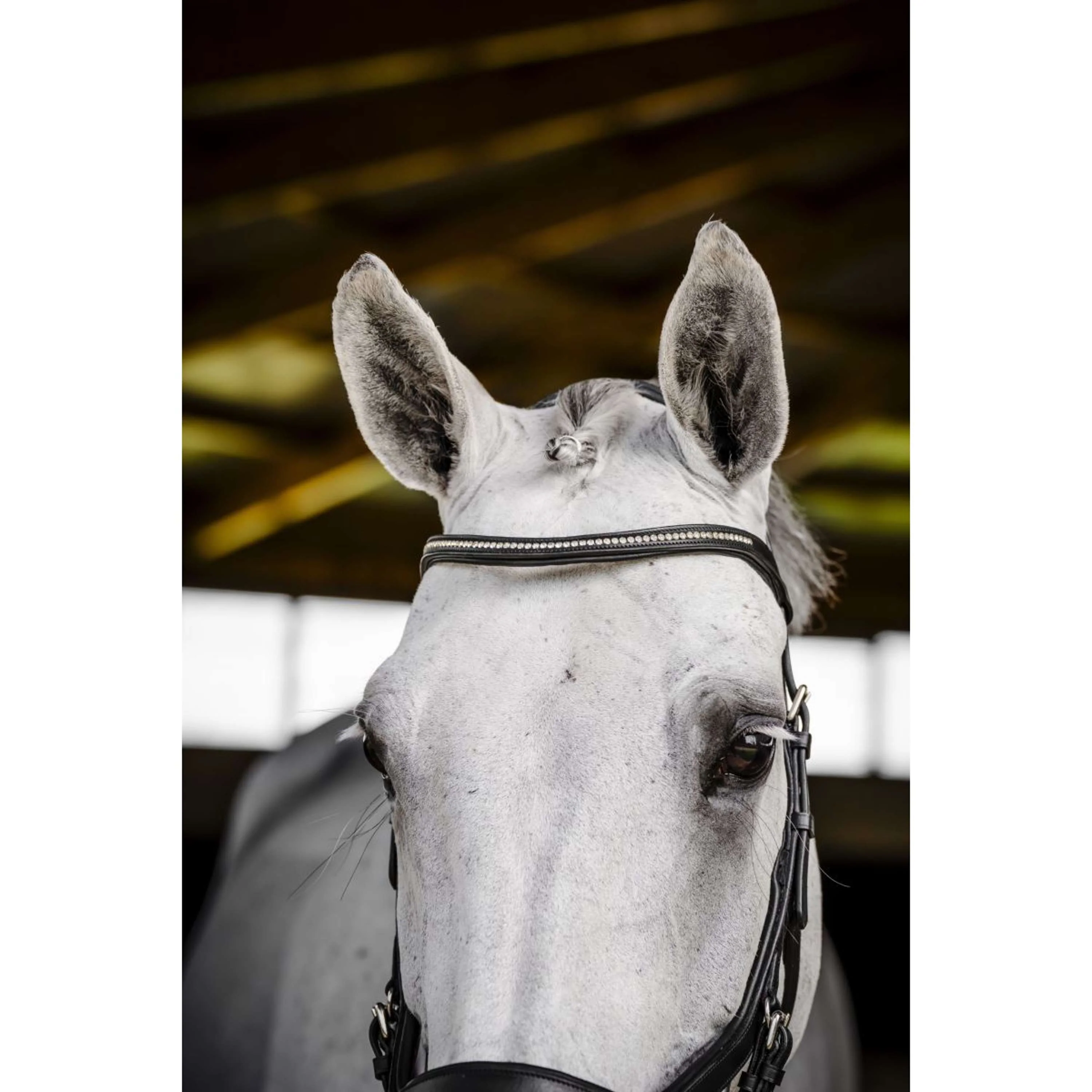 Horseware Micklem Diamante Competition Bridle Nero - Image 6