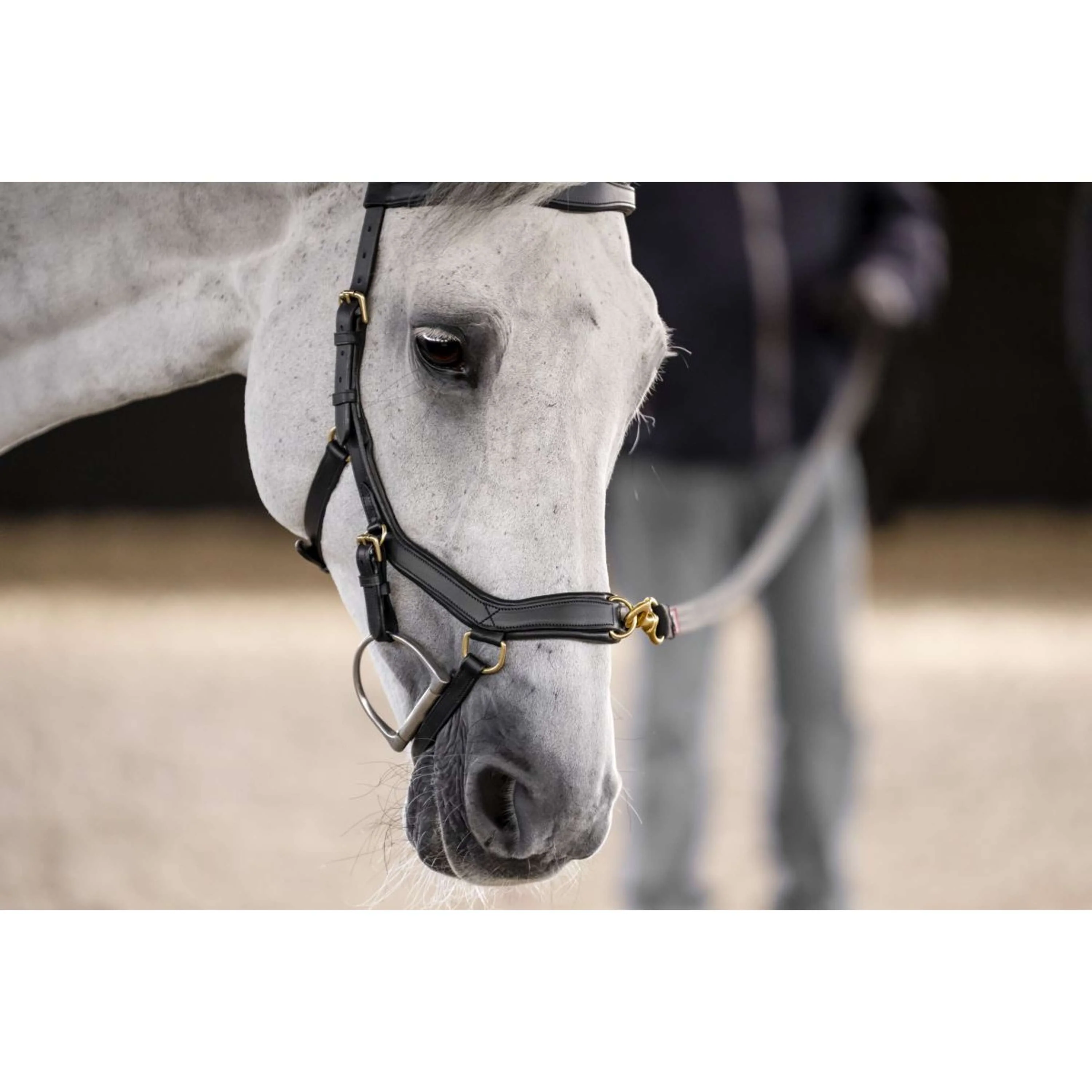 Horseware Micklem Multi Bridle Nero - Image 12