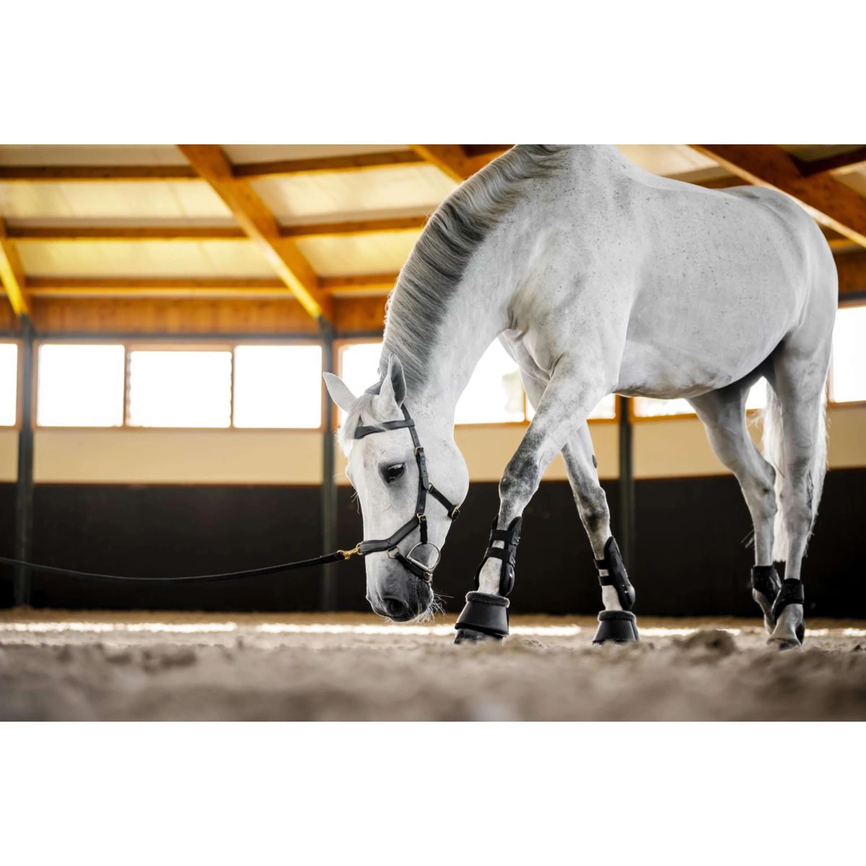 Horseware Micklem Multi Bridle Nero - Image 15