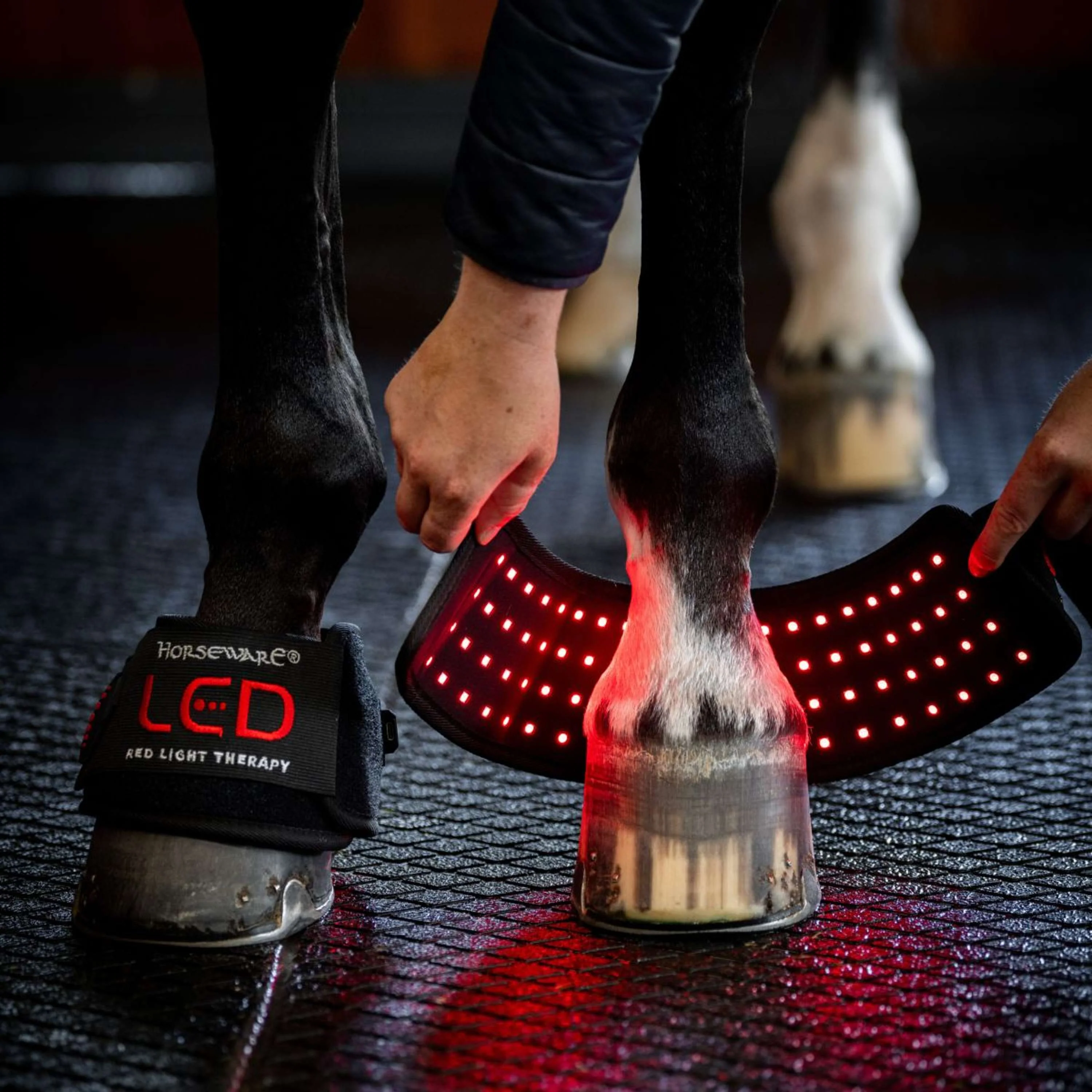 Horseware Mini Wraps LED Red Light Therapy Quad Nero - Image 3