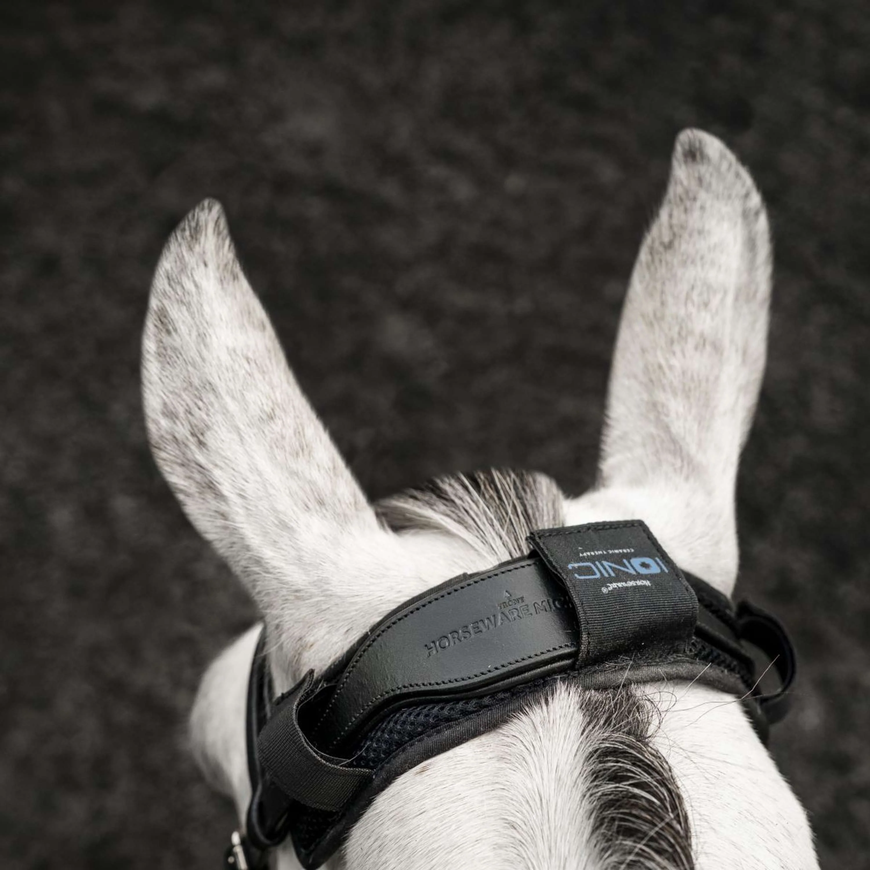 Horseware Proteggi Briglia Ionic Nero - Image 2