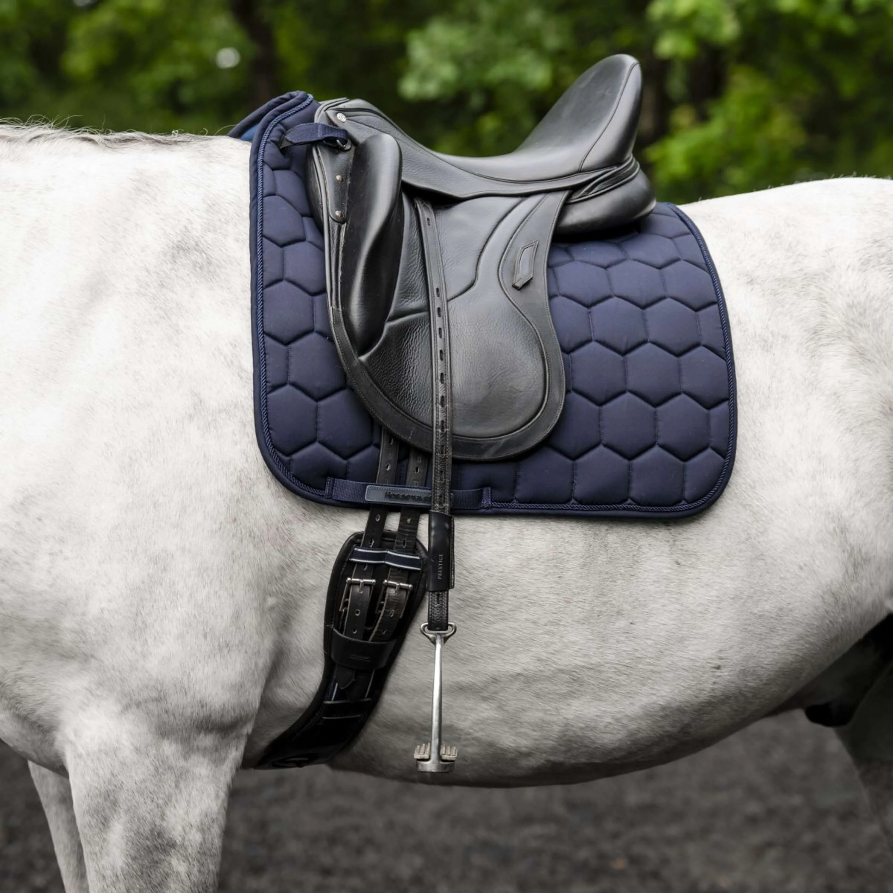 Horseware Sottosella Ionic Dressage Navy - Image 2