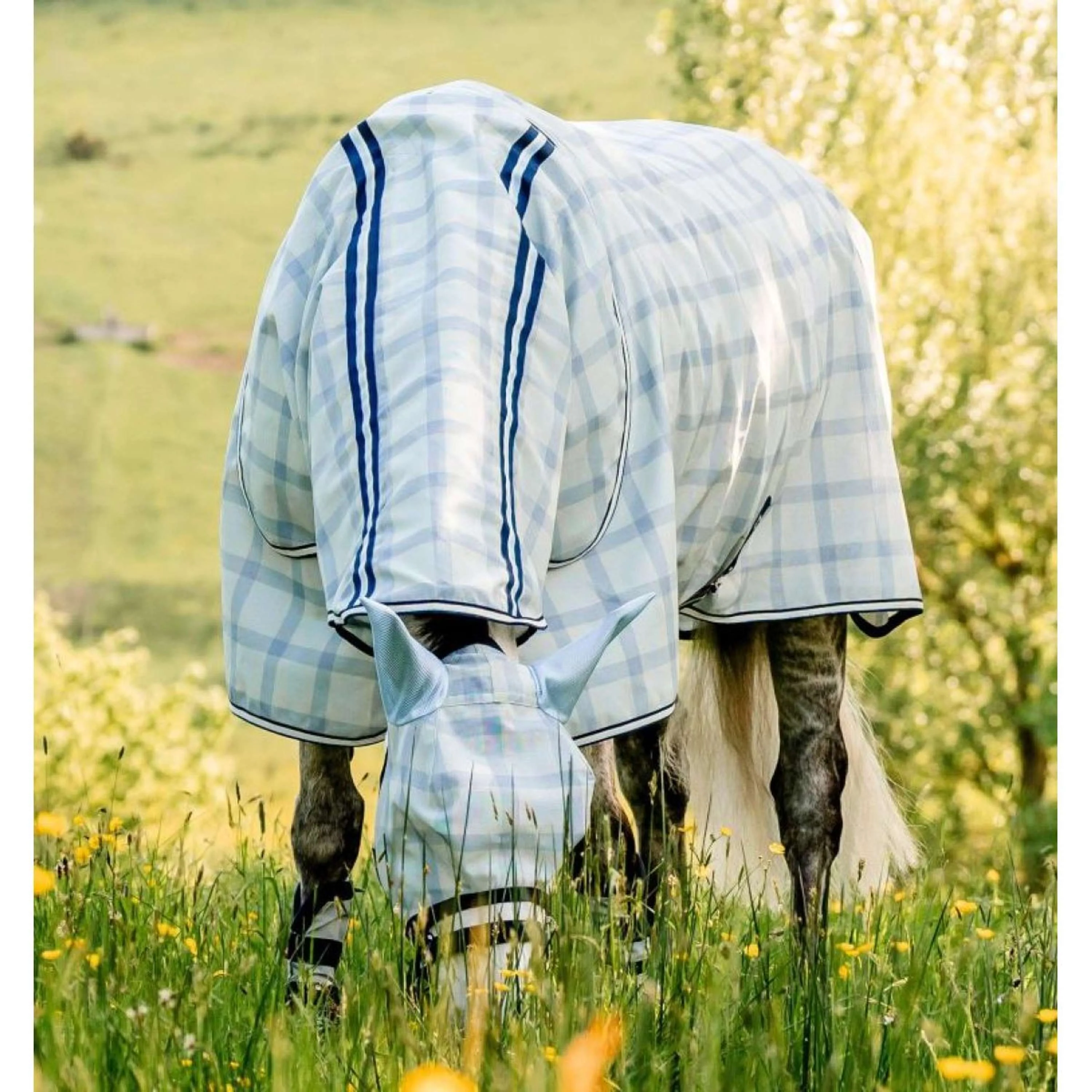 Horseware Stivali da mosca Newmarket Marina di Witney - Image 5