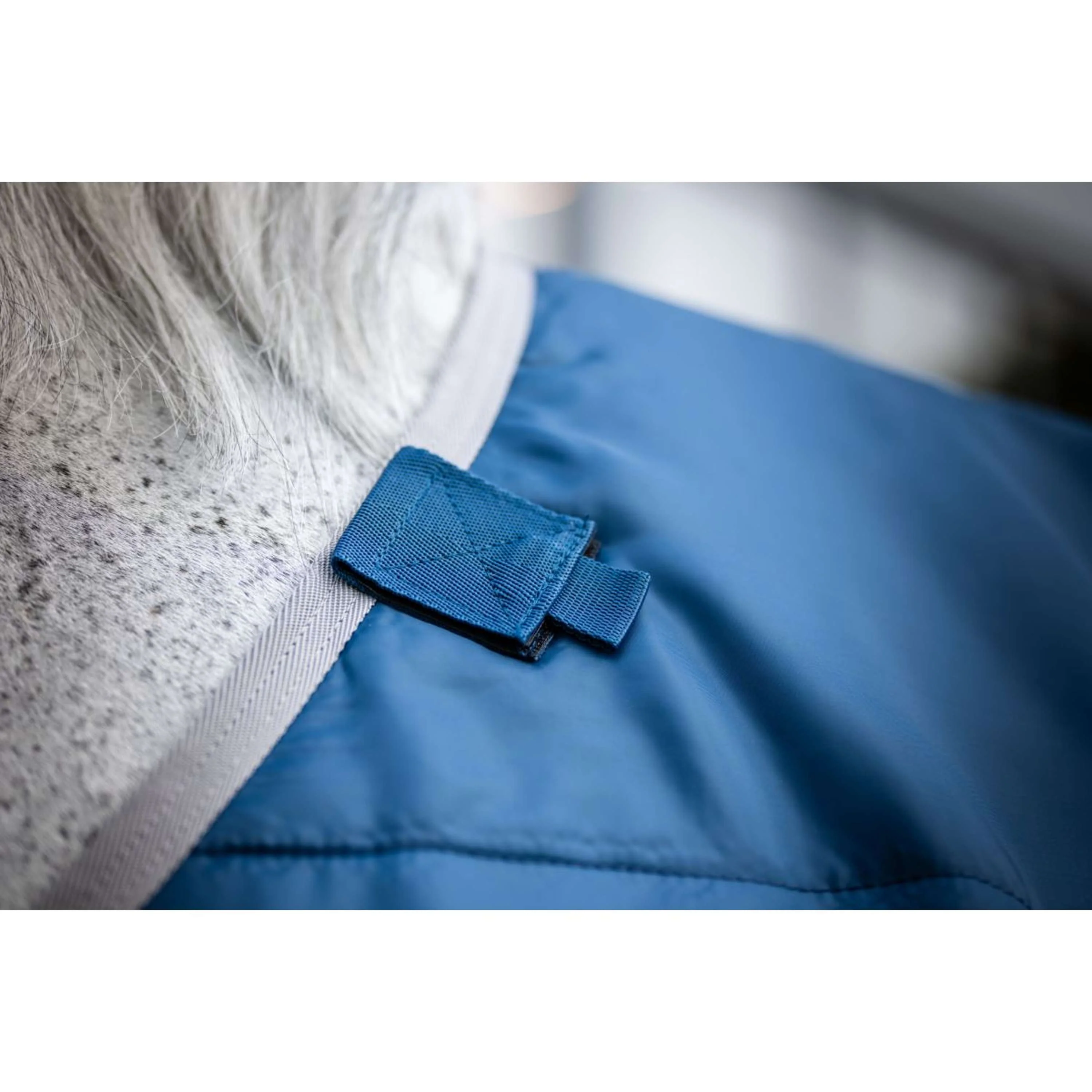 Horseware Terapia Ionic 50g Blu imperiale/Argento/Blu marino - Image 3