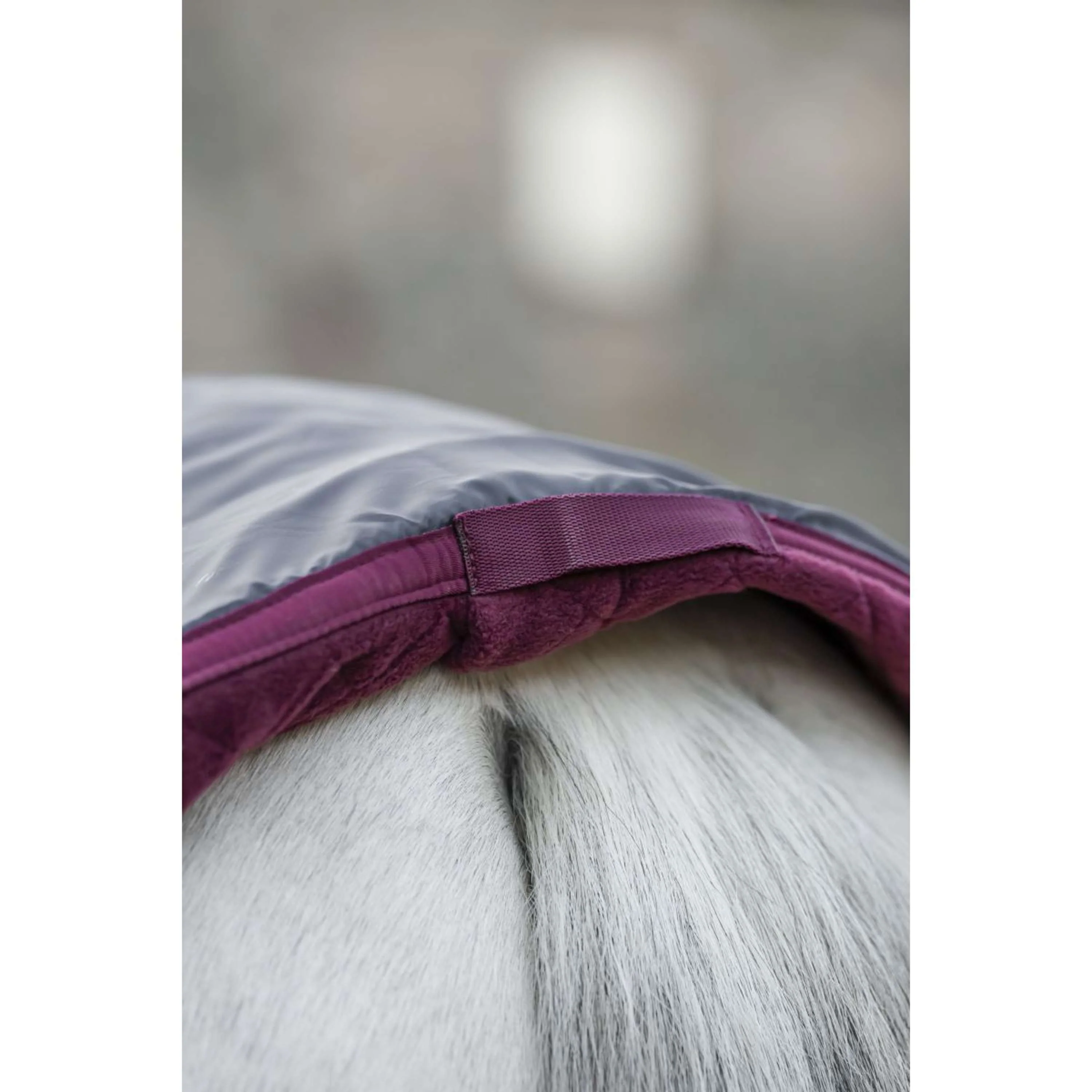 Horseware Travel Cooler Signature Borgogna - Image 11